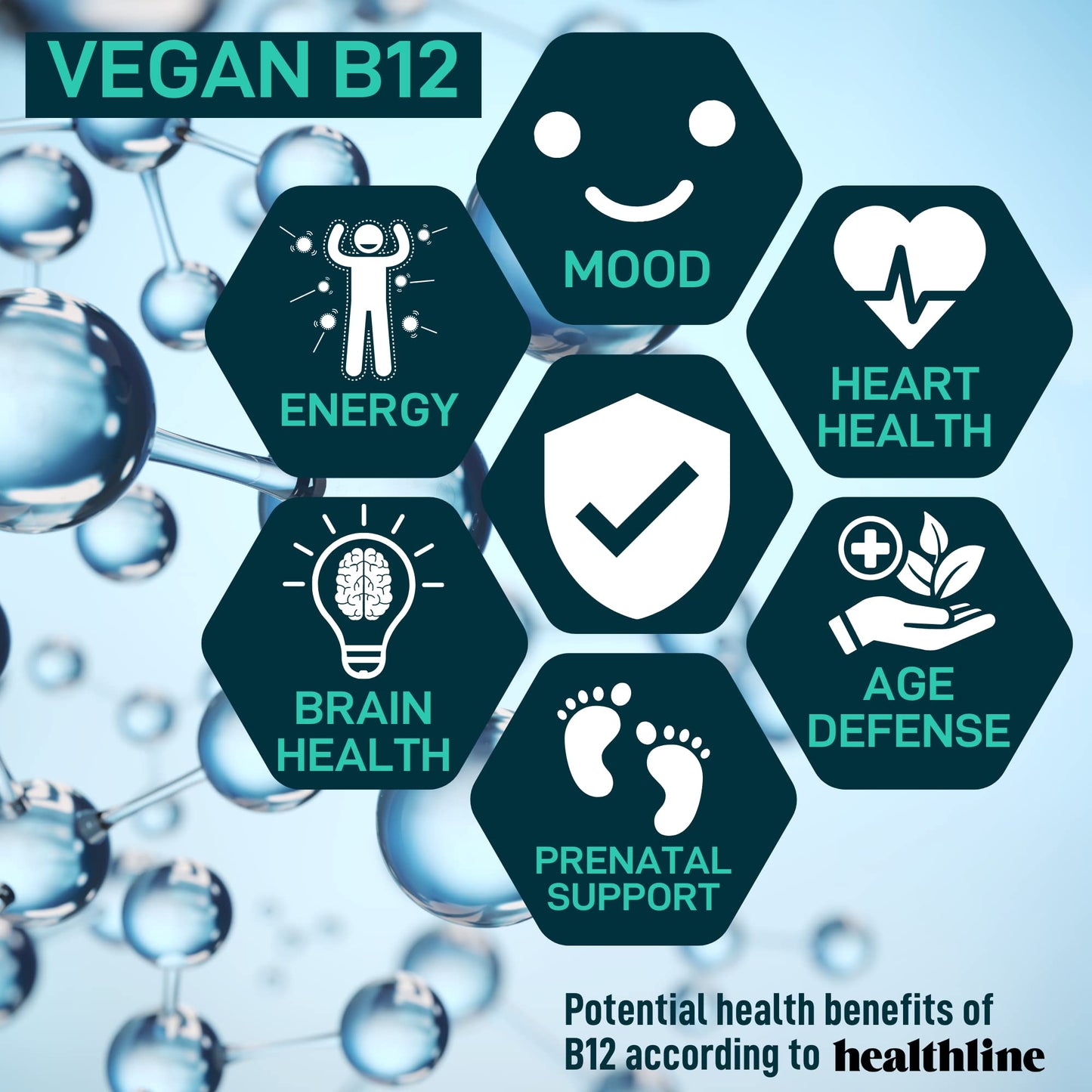Wild Fuel Vegan Probiotic Plus B12 & FOS 22 Billion CFU Synbiotics Prebiotics and Probiotics for Digestive Health, IBS, Mood Support - B12 Pre Pro Post Biotics for Women & Men - 60 Capsules