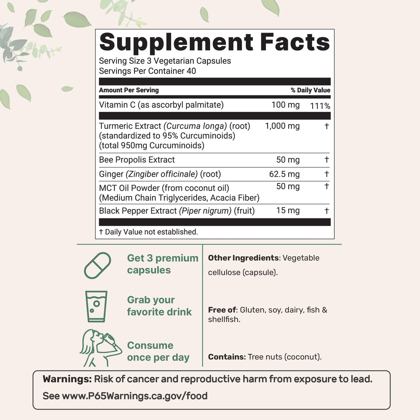 Micro Ingredients Pure Turmeric Curcumin Supplement 1000mg Capsules, 120 Count