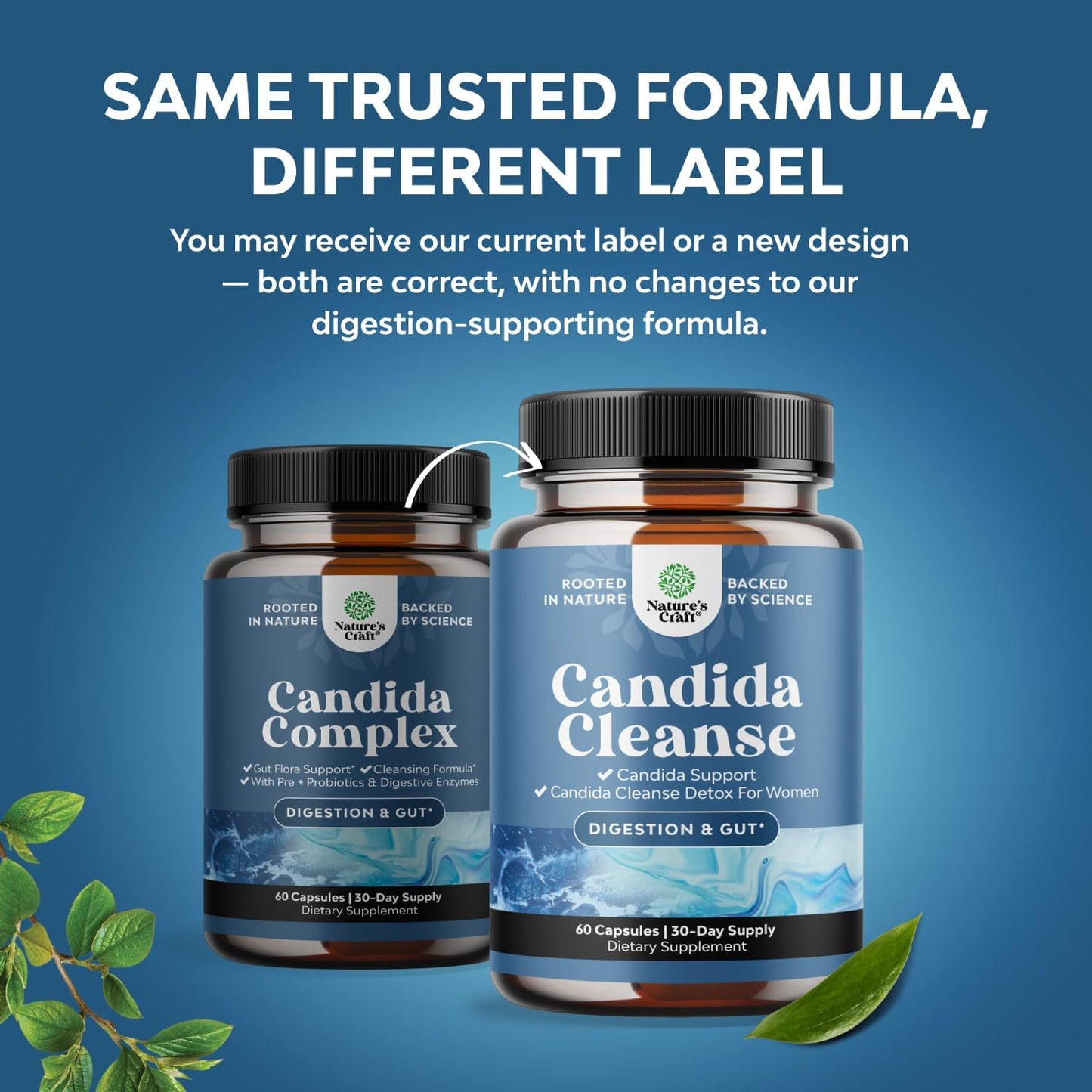 Natures Craft Candida Cleanse Detox for Women Capsule 60 Count