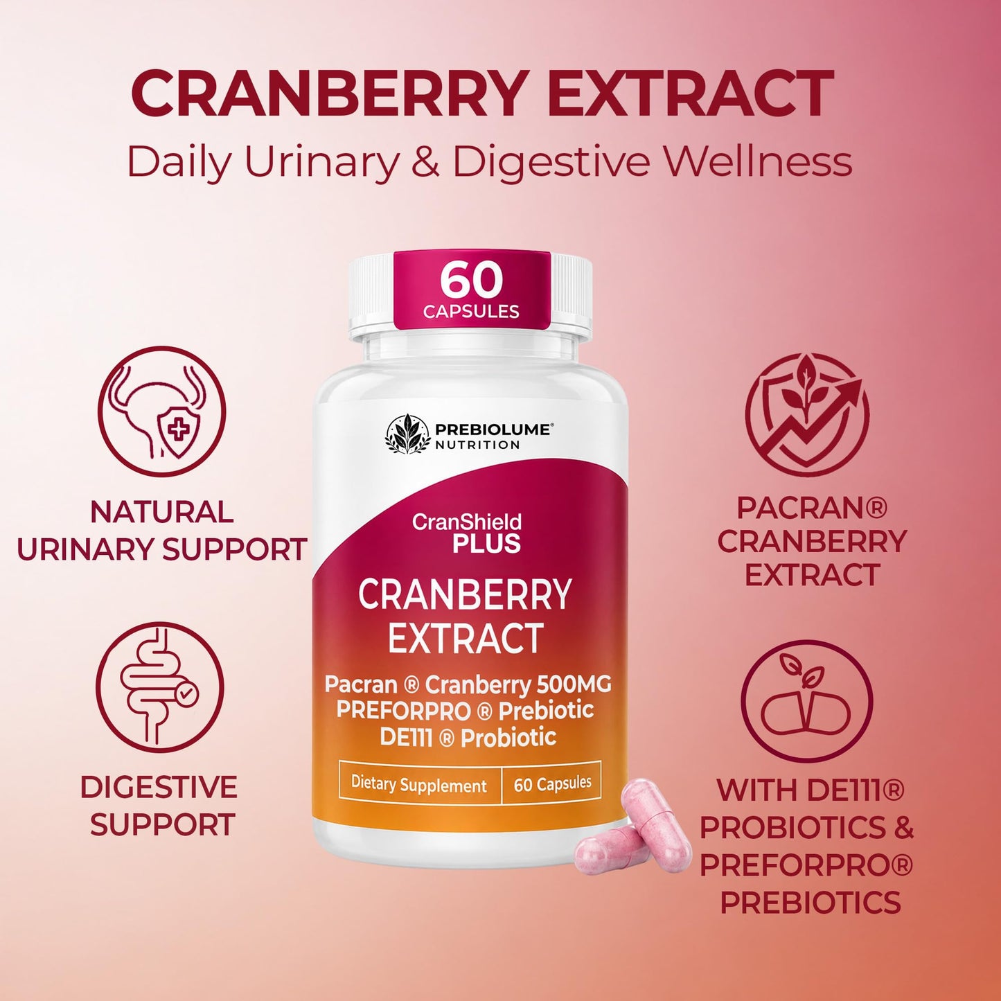 Prebiolume Cranberry Pills for Women Urinary Tract & Digestion Supplement Pacran® Cranberry Extract 500mg with DE111® Probiotics & PreforPro® Prebiotics Blend Capsule 30 Count