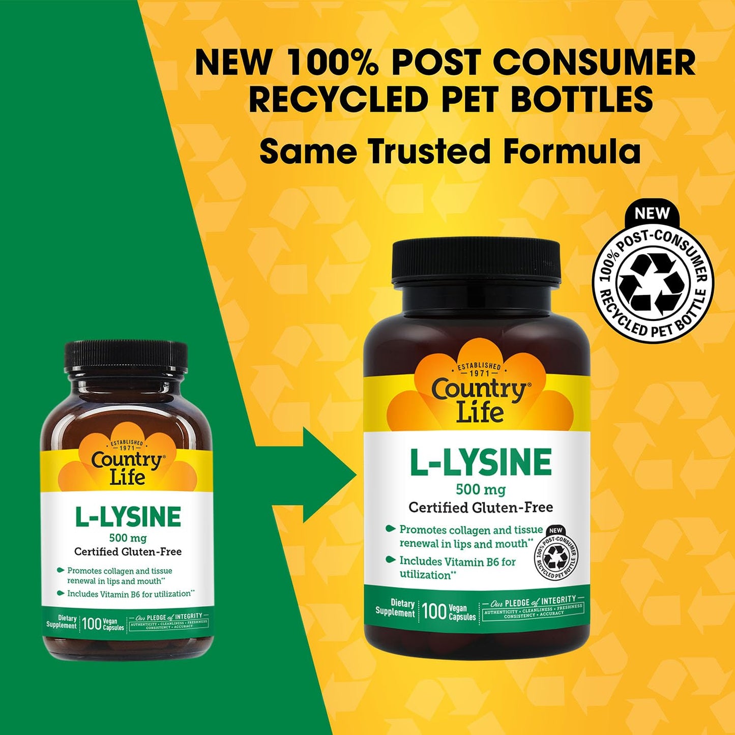 Country Life L-Lysine 500mg with B-6 Capsules, 100 Capsules