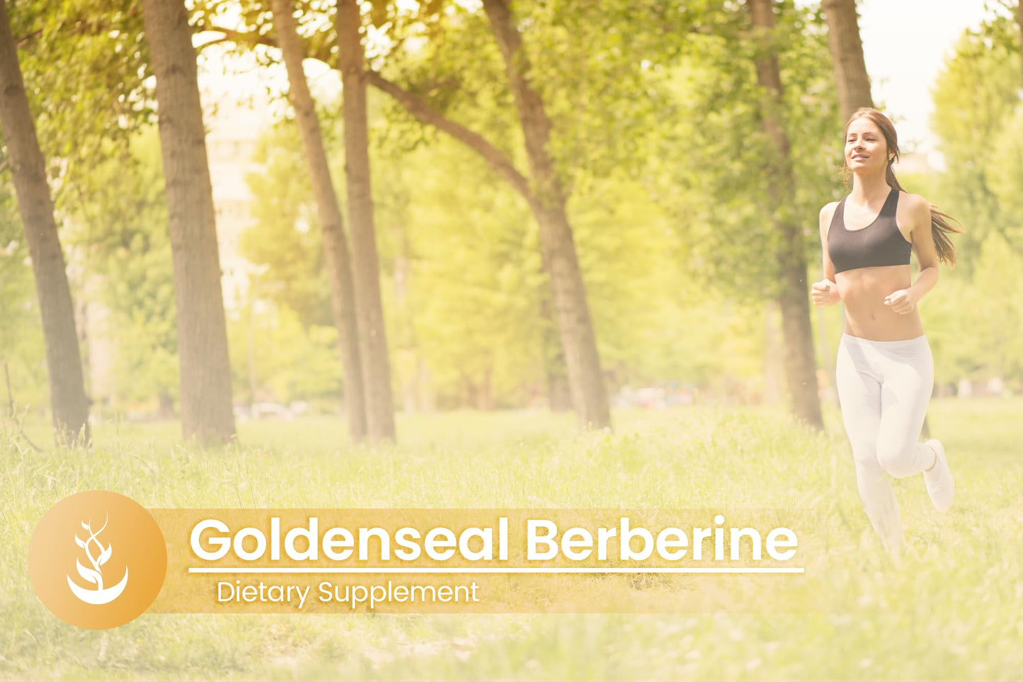 PURE ORIGINAL INGREDIENTS Goldenseal Berberine Capsules, 100 Count