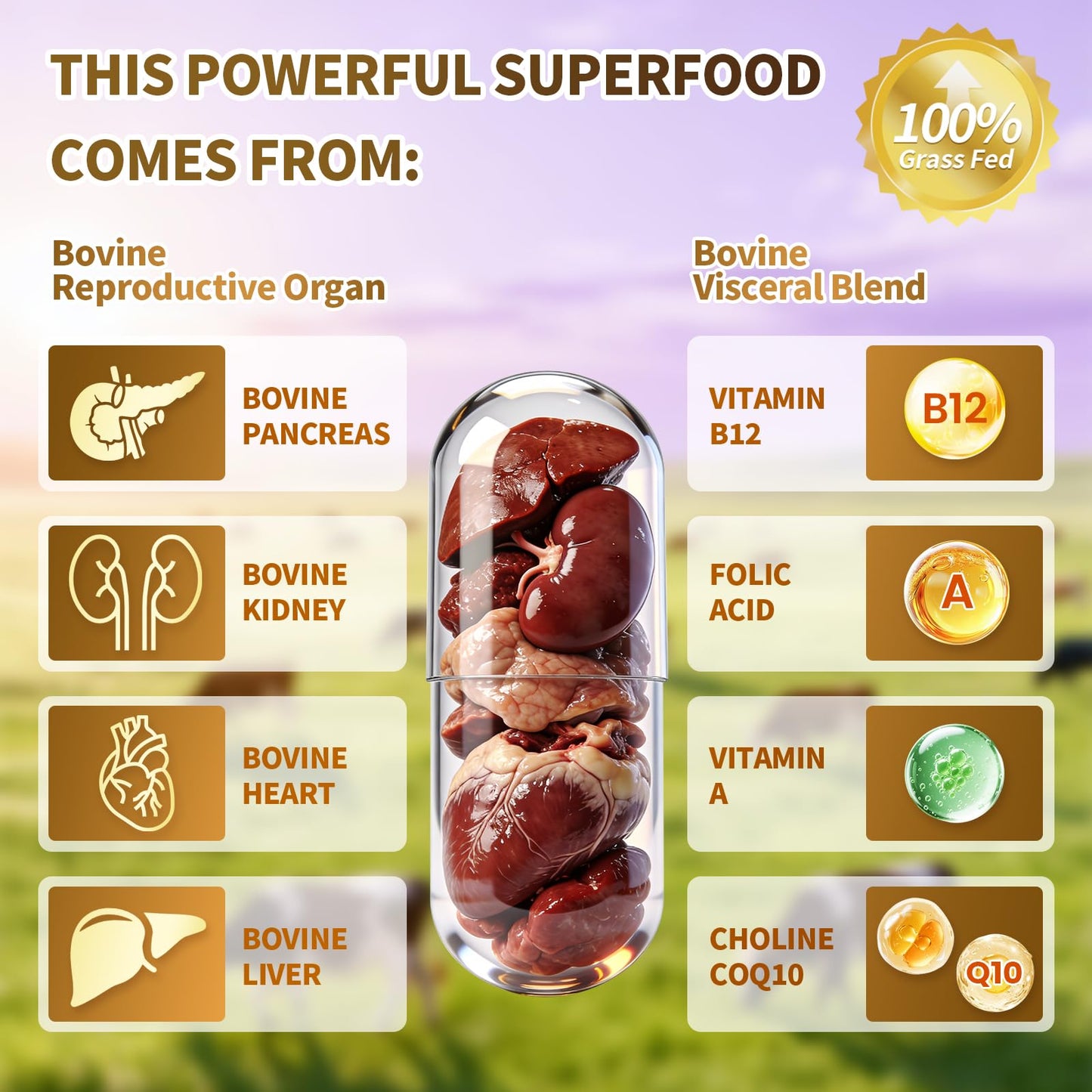 VivoNu Beef Organ Supplement for Women Capsules, 180 Capsules