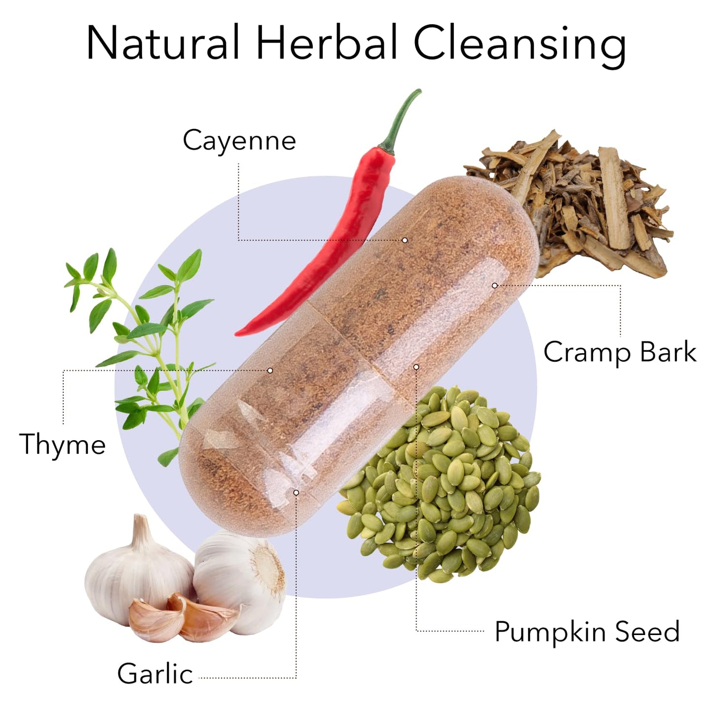 Kroeger Herb Products Rascal Cleansing Detox Gut Health with Garlic Cayenne Pumpkin Seeds Vegetarian Non-GMO Gluten Free No Preservatives Healthy Microbial Balance Made in USA Capsules 100 Count
