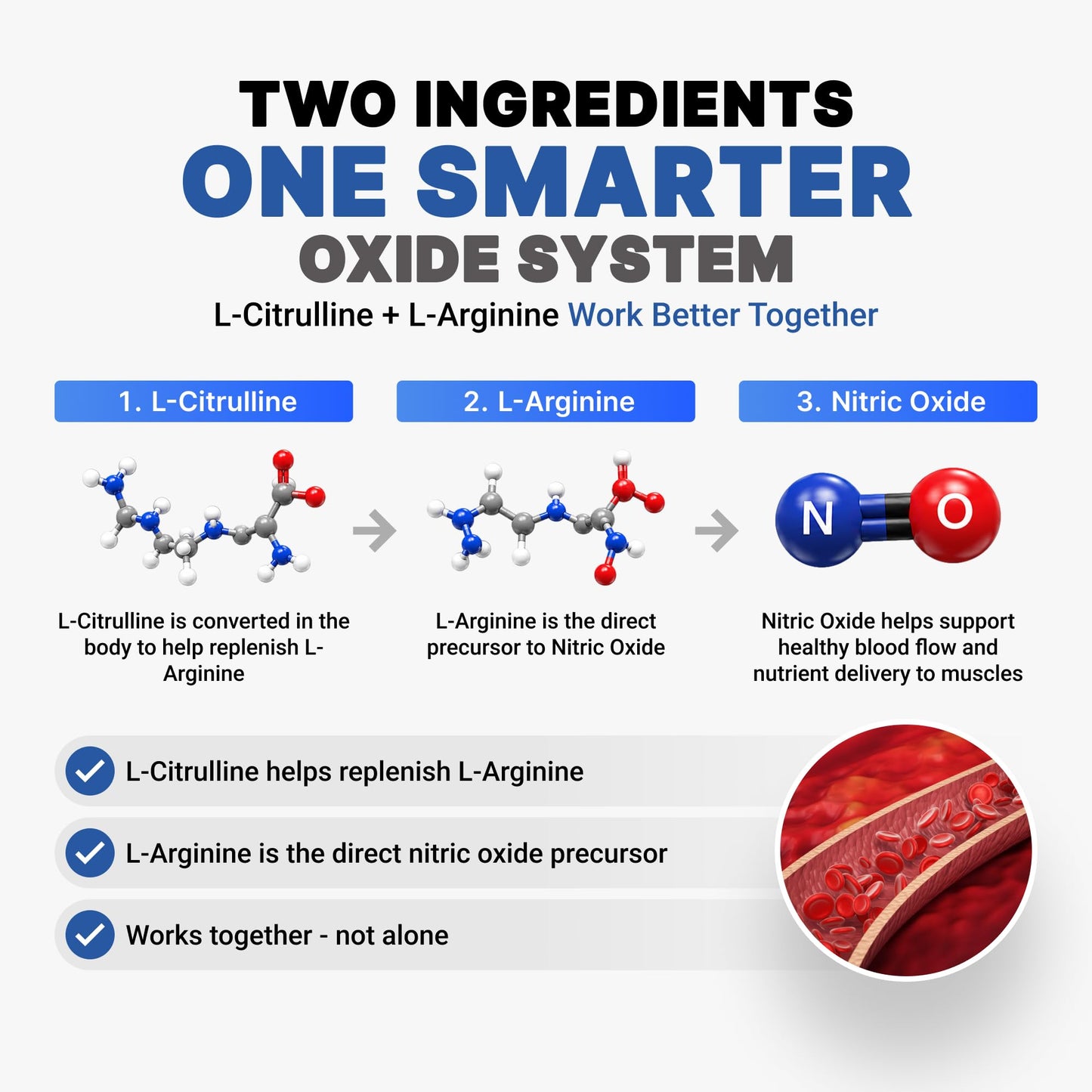 AMP Science Advanced Nitric Oxide Supplements for Men, Nitric Oxide Booster with L-Citrulline, L-Arginine & Taurine, Blood Flow Supplement for Muscle Pumps, Endurance & Pre Workout, 60 Tablets