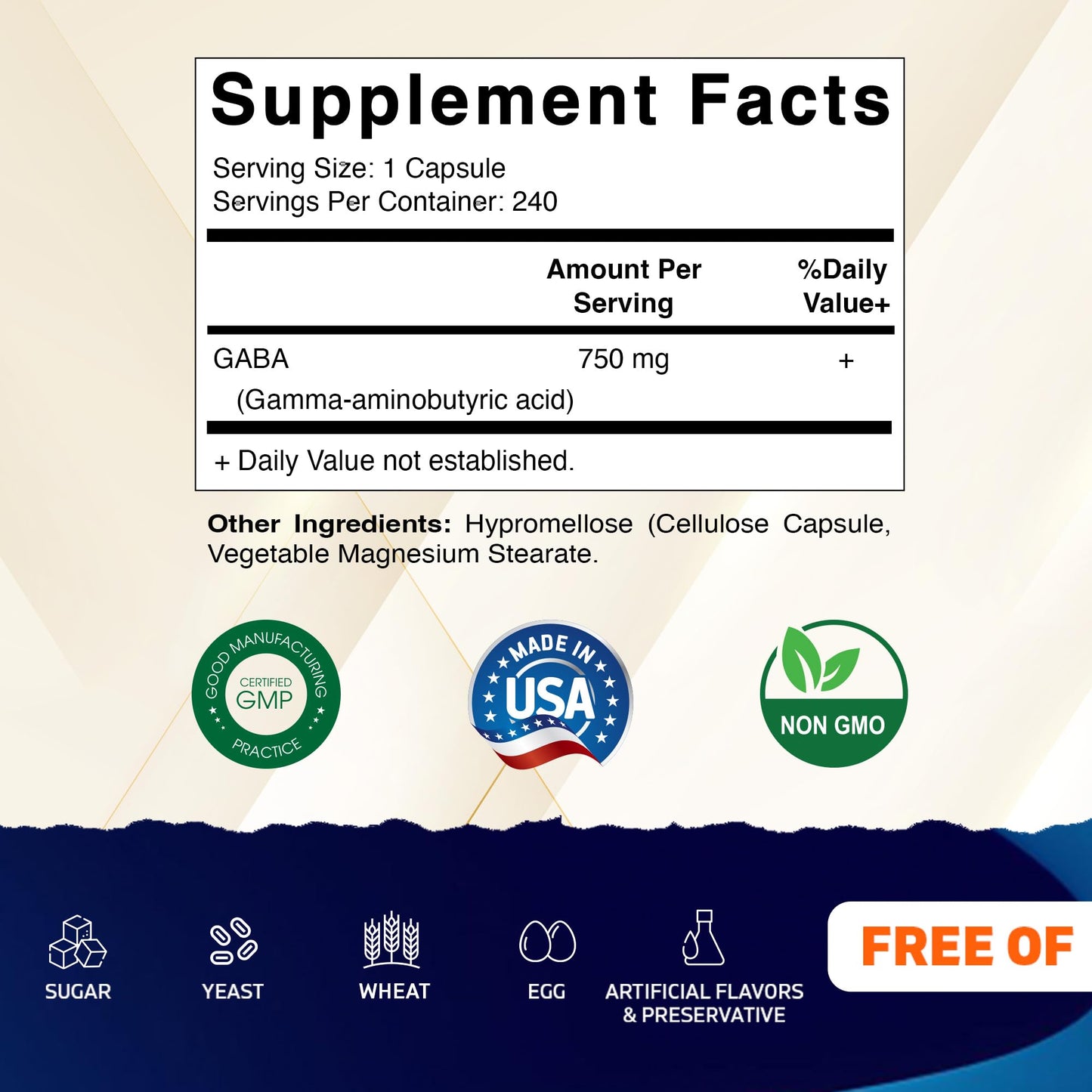 Vitamatic GABA (Gamma Aminobutyric Acid) 750mg Capsule, 240 Count