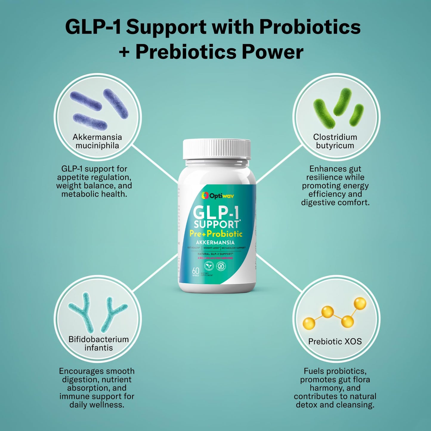 Optiwav GLP-1 Support Weight Loss Pre + Probiotic Akkermansia Supplement Capsule, 60 Count