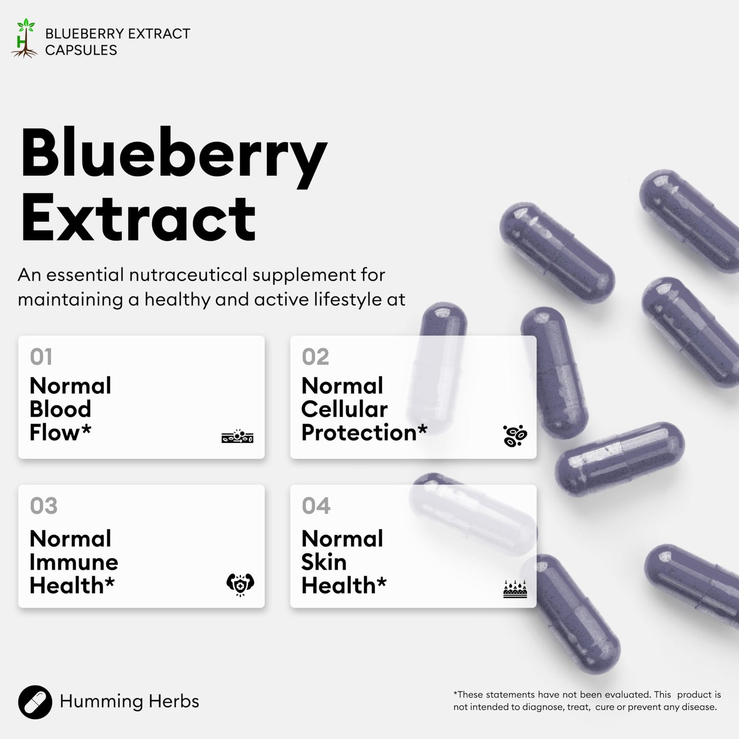 Humming Herbs Blueberry & Bilberry Extract Capsules, 120 Count