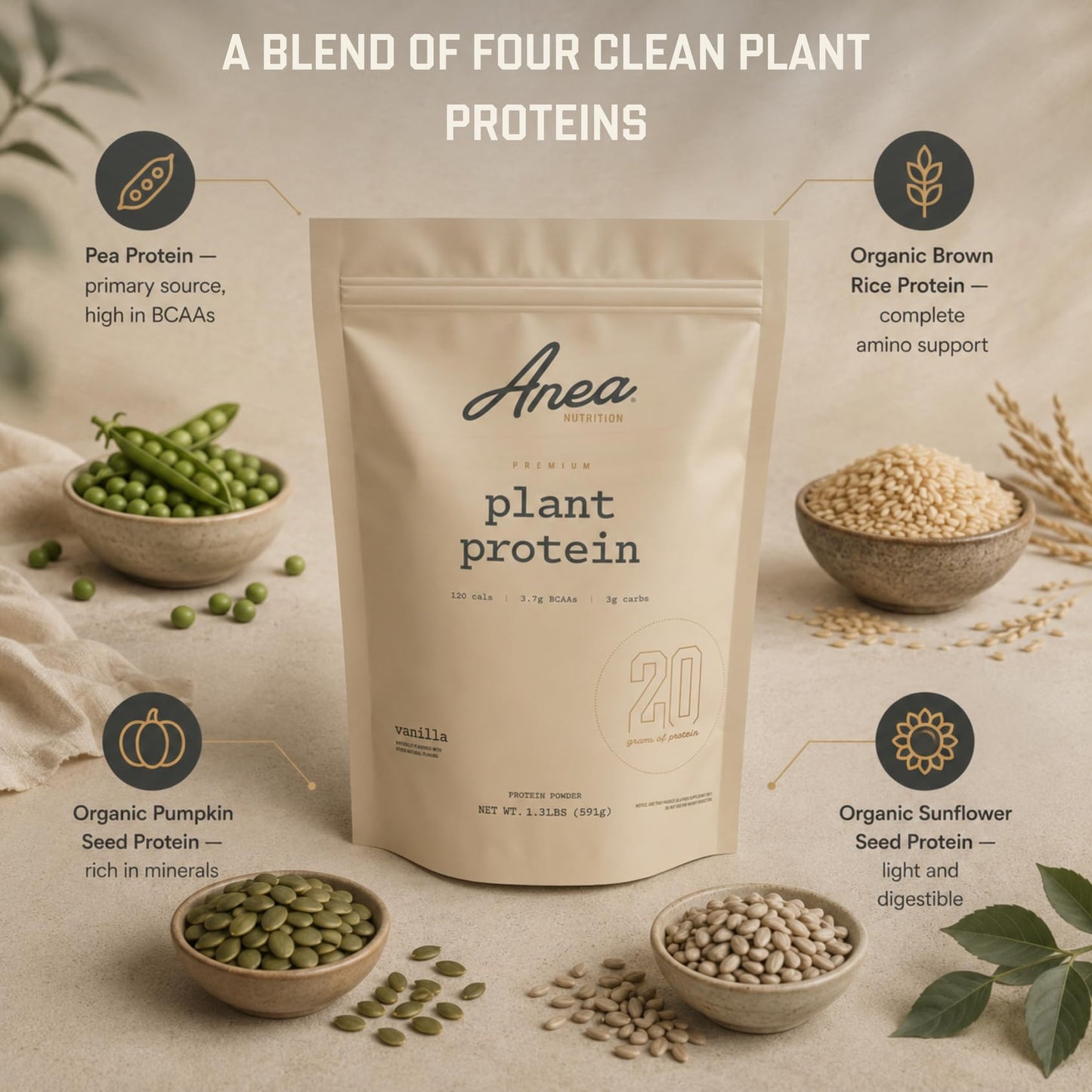 Anea Nutrition Plant Based Protein Powder Vanilla, 20 Servings
