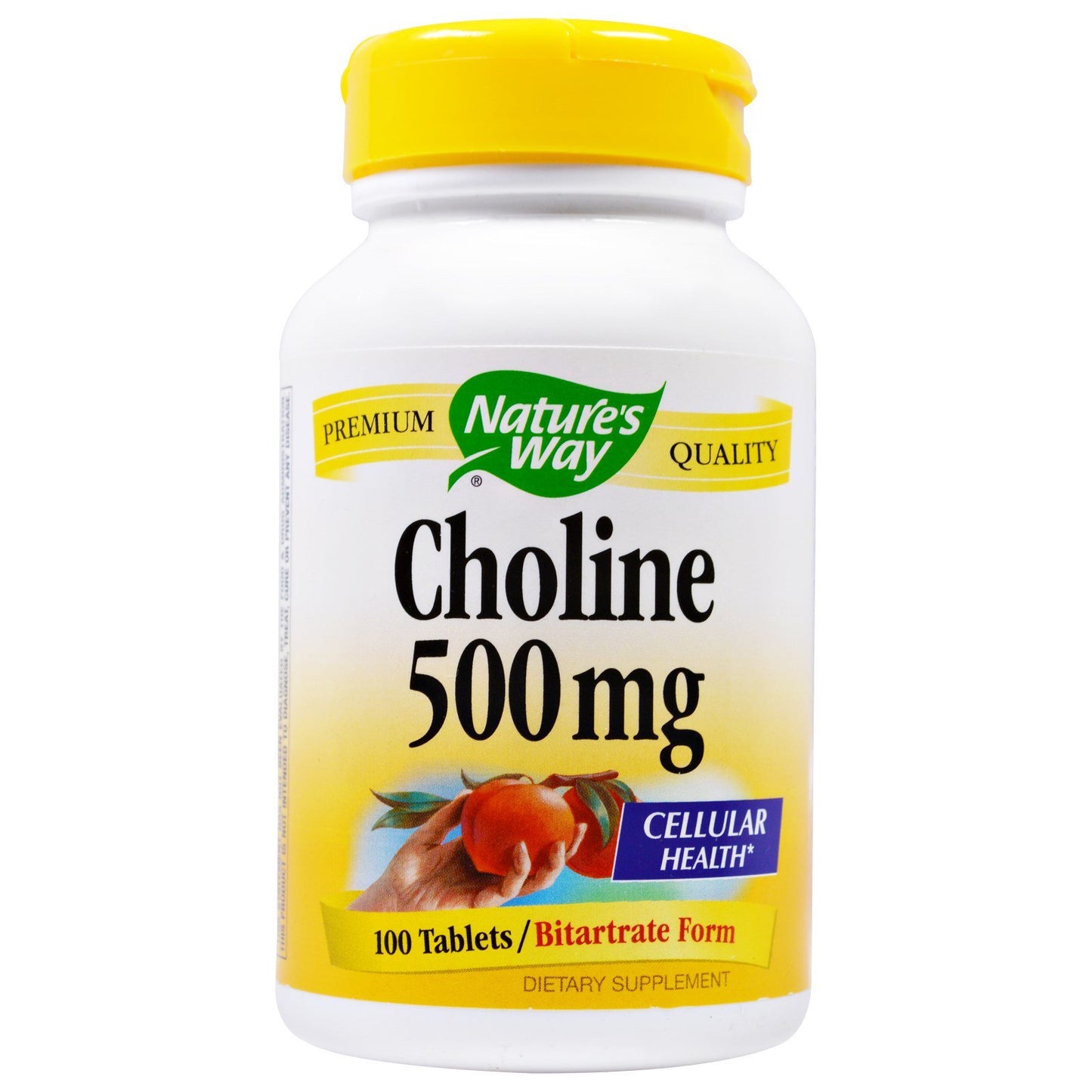 Nature's Way Choline Tablet, 100 Tablets