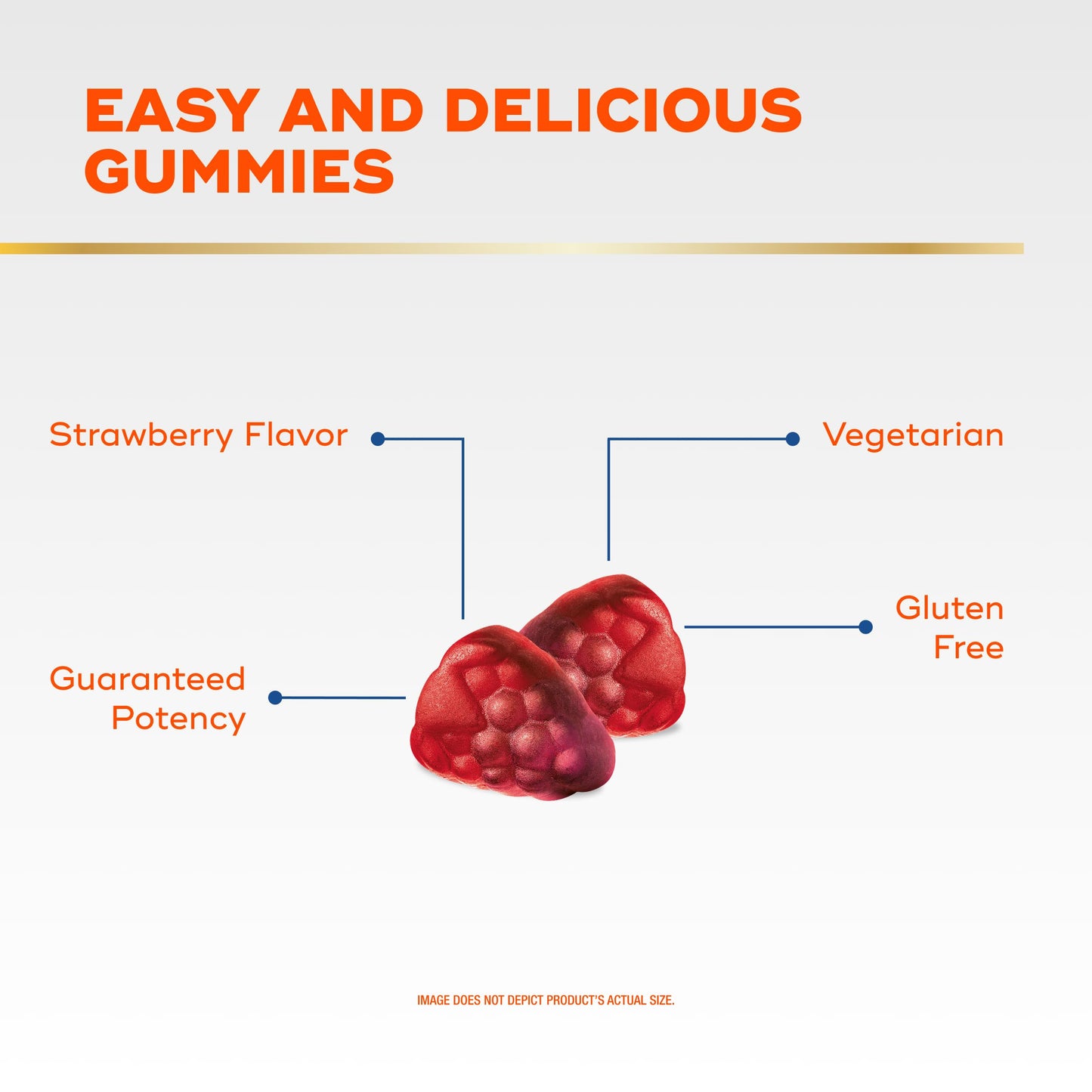 Align Probiotic Gummies, 60 Count
