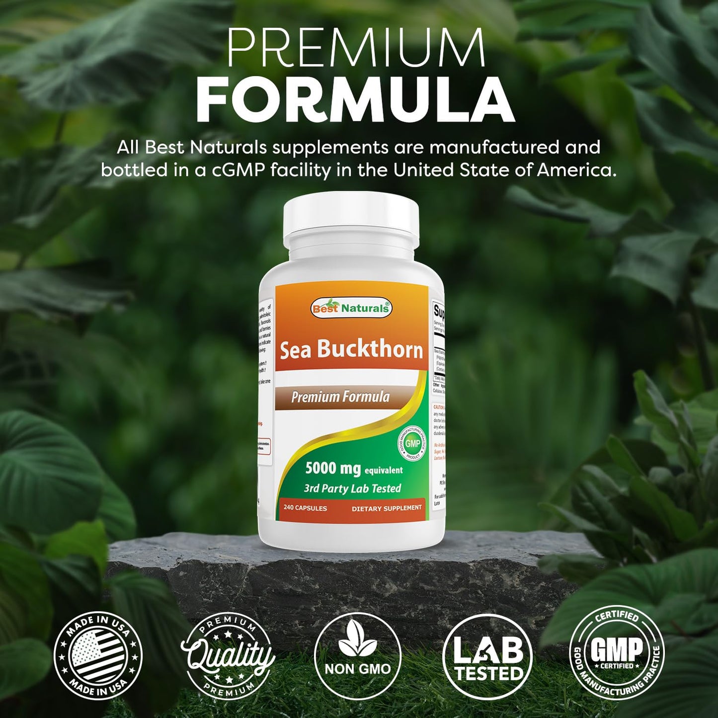 Best Naturals Sea Buckthorn Oil Powder Extract 10:1 500 mg 240 Capsules