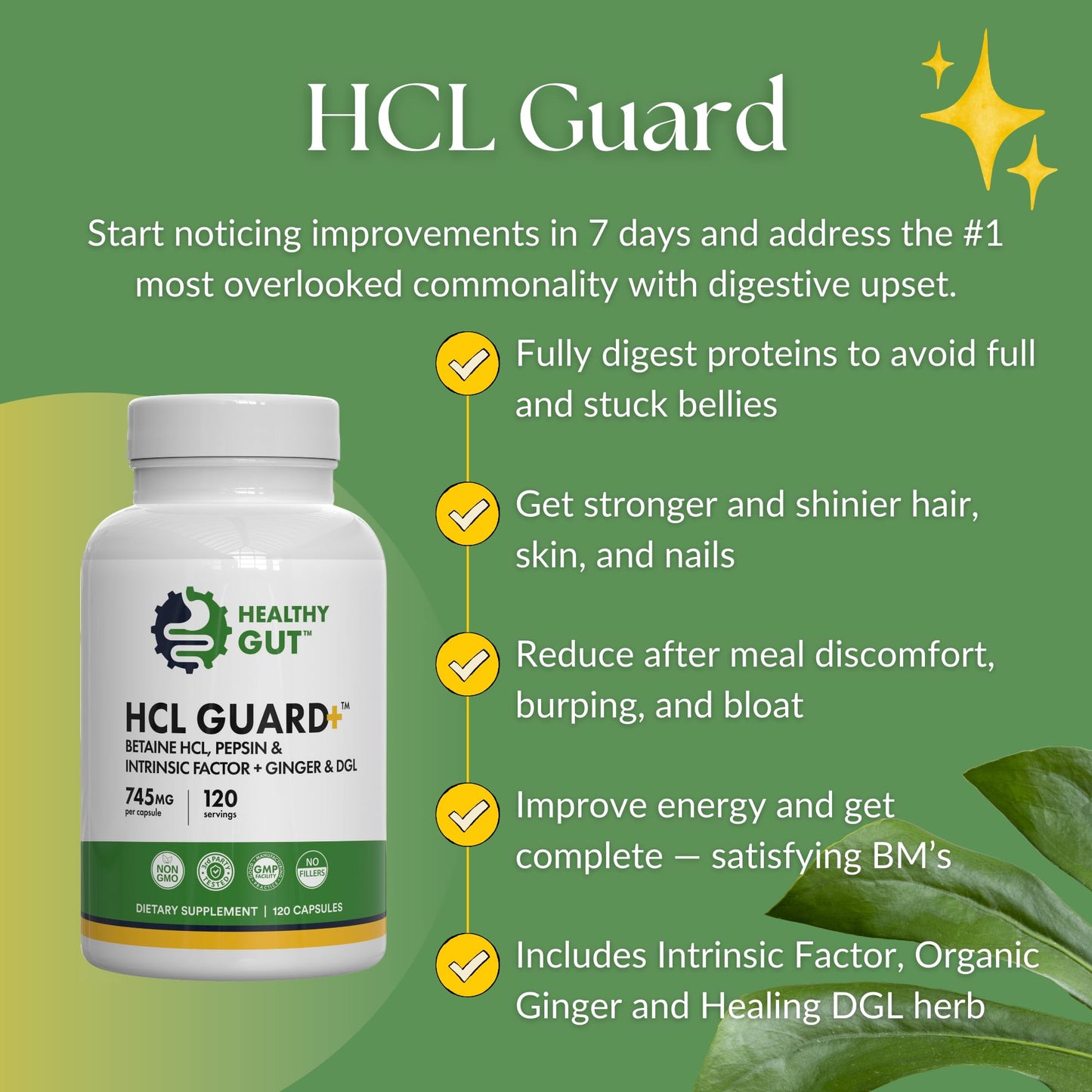 Healthy Gut HCL Guard Betaine HCl with Pepsin Digestive Supplement with Organic Ginger Root & DGL Capsules 120 Count