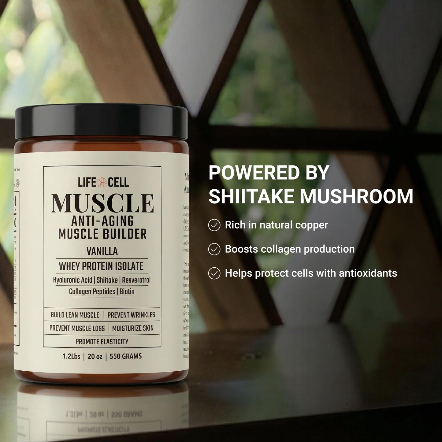 LifeCell Whey Protein Powder 550 g