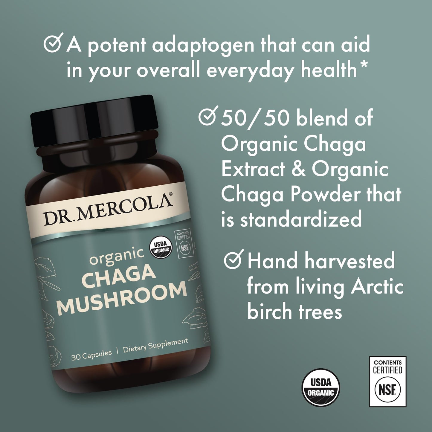 Dr. Mercola Organic Chaga Mushroom - Immune Support - Adaptogenic Blend with Chaga Extract & Chaga Powder Capsules, 30 Count