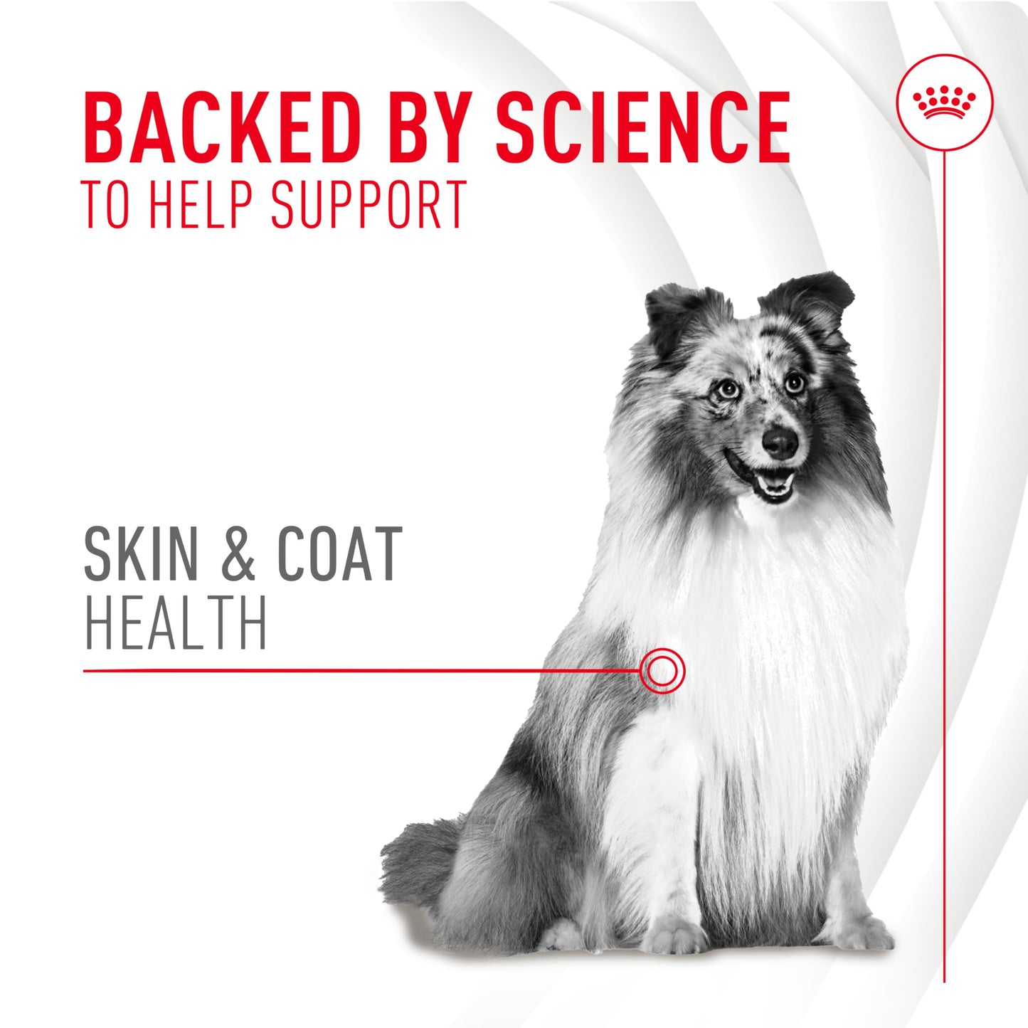 ROYAL CANIN Skin & Coat Dog Supplement for Adult Dogs Capsule 1