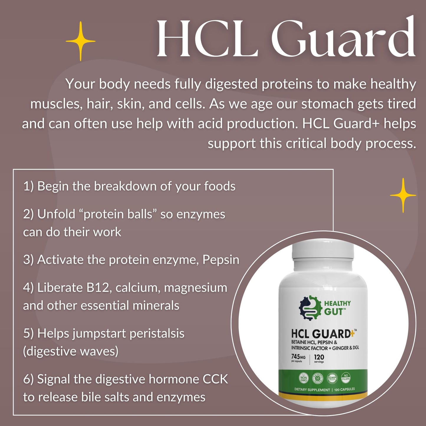 Healthy Gut HCL Guard Betaine HCl with Pepsin Digestive Supplement with Organic Ginger Root & DGL Capsules 120 Count