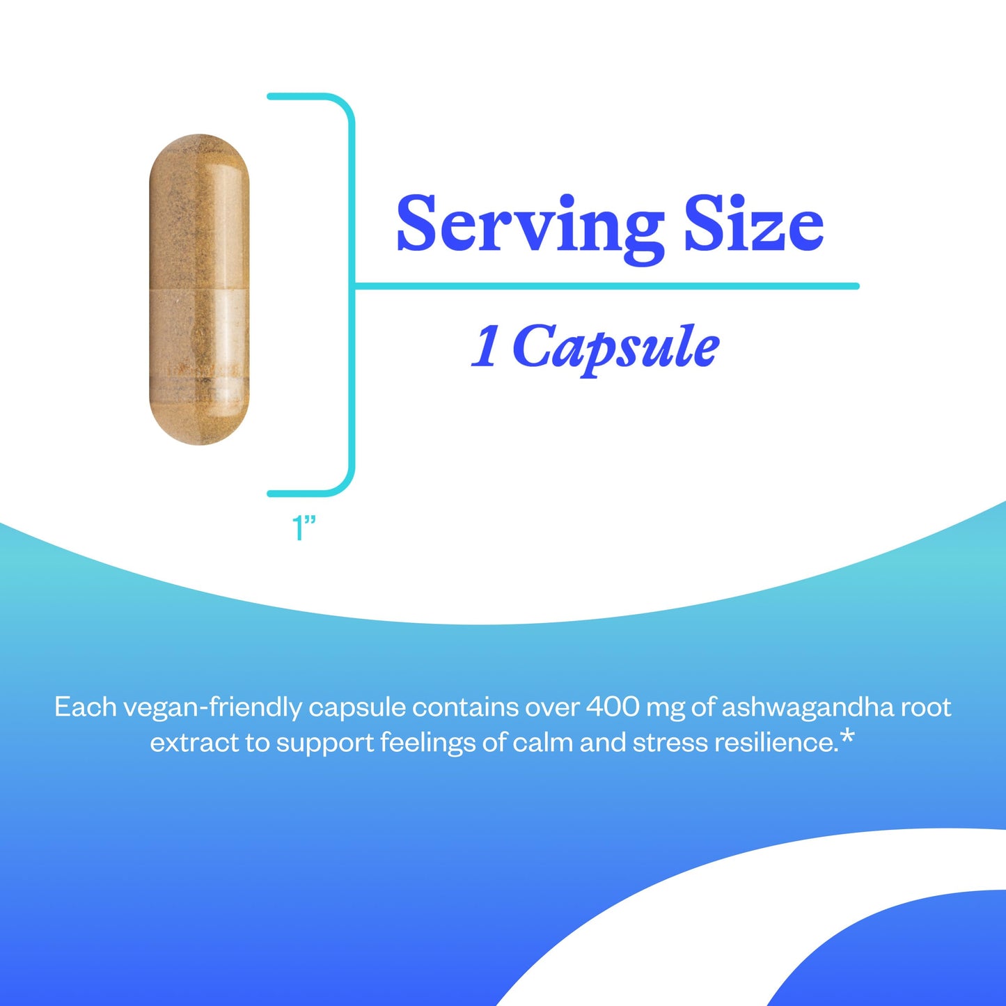 Seeking Health Ashwagandha Capsule 60 Count