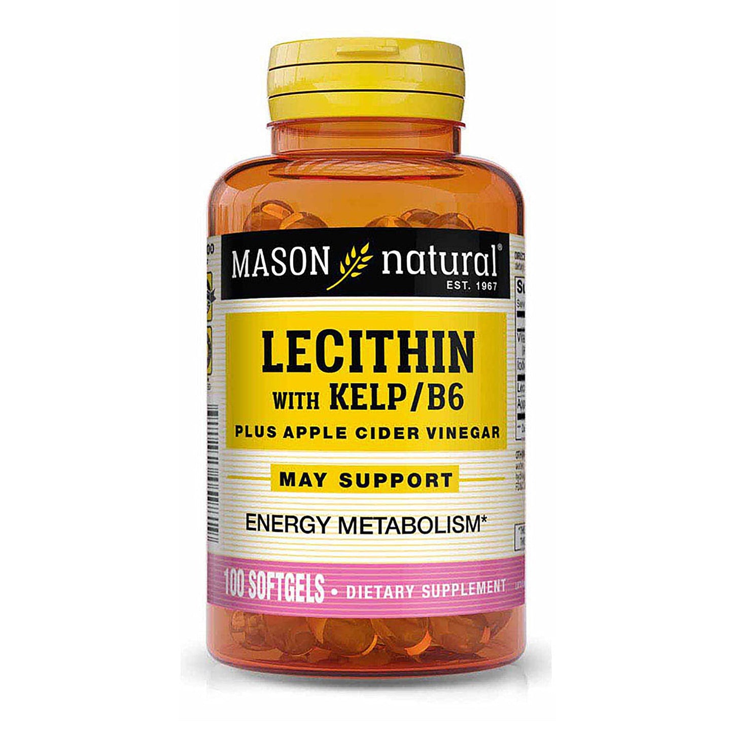 Mason Lecithin with Kelp, Vitamin B6 & Apple Cider Vinegar Dual Action Formula Softgels, 200 Count