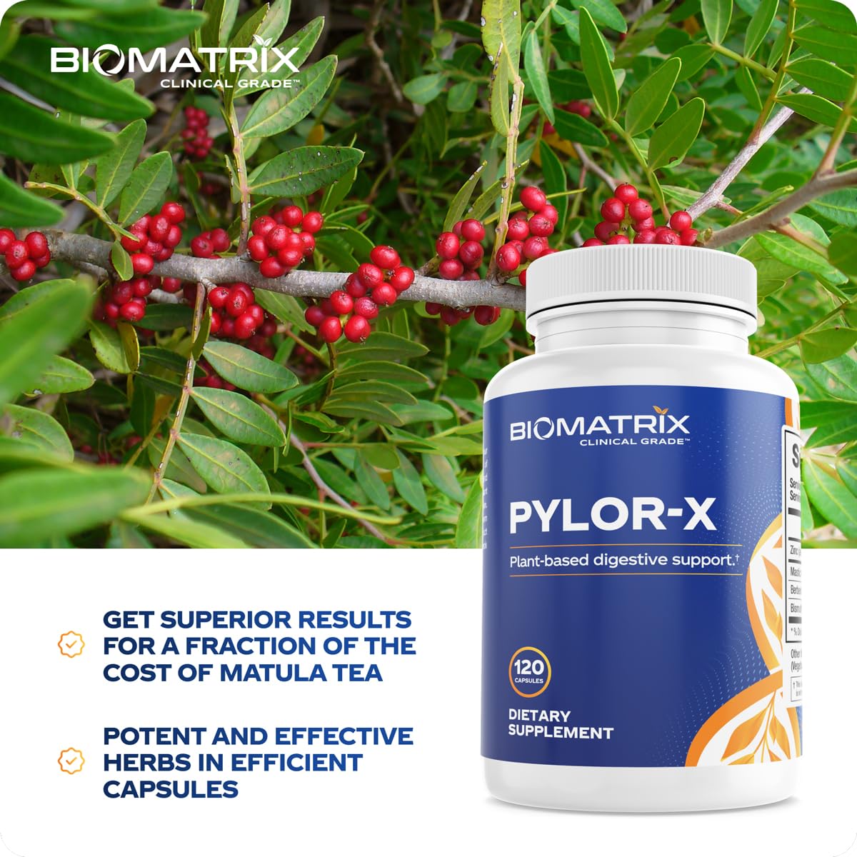 BioMatrix Pylor-X Gut Health Supplement Capsule 120 Count