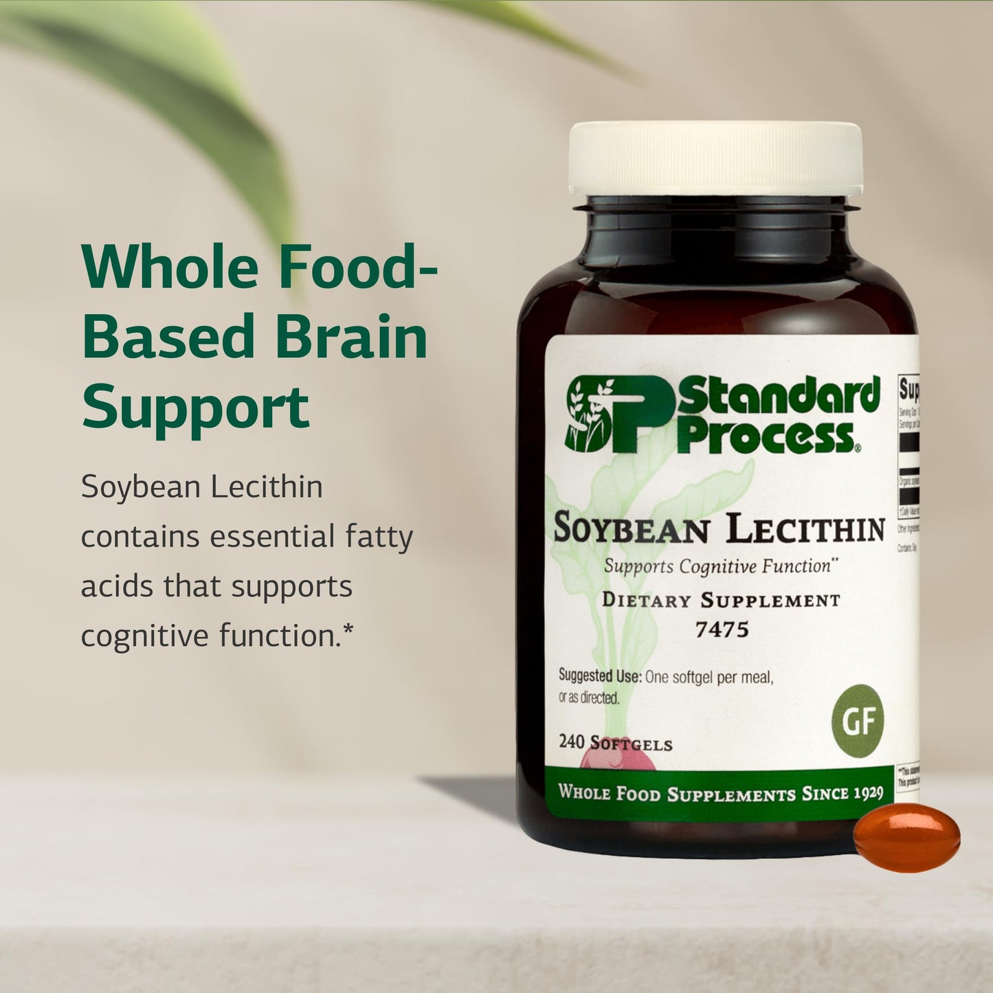 Standard Process Inc. Soybean Lecithin Softgels 240
