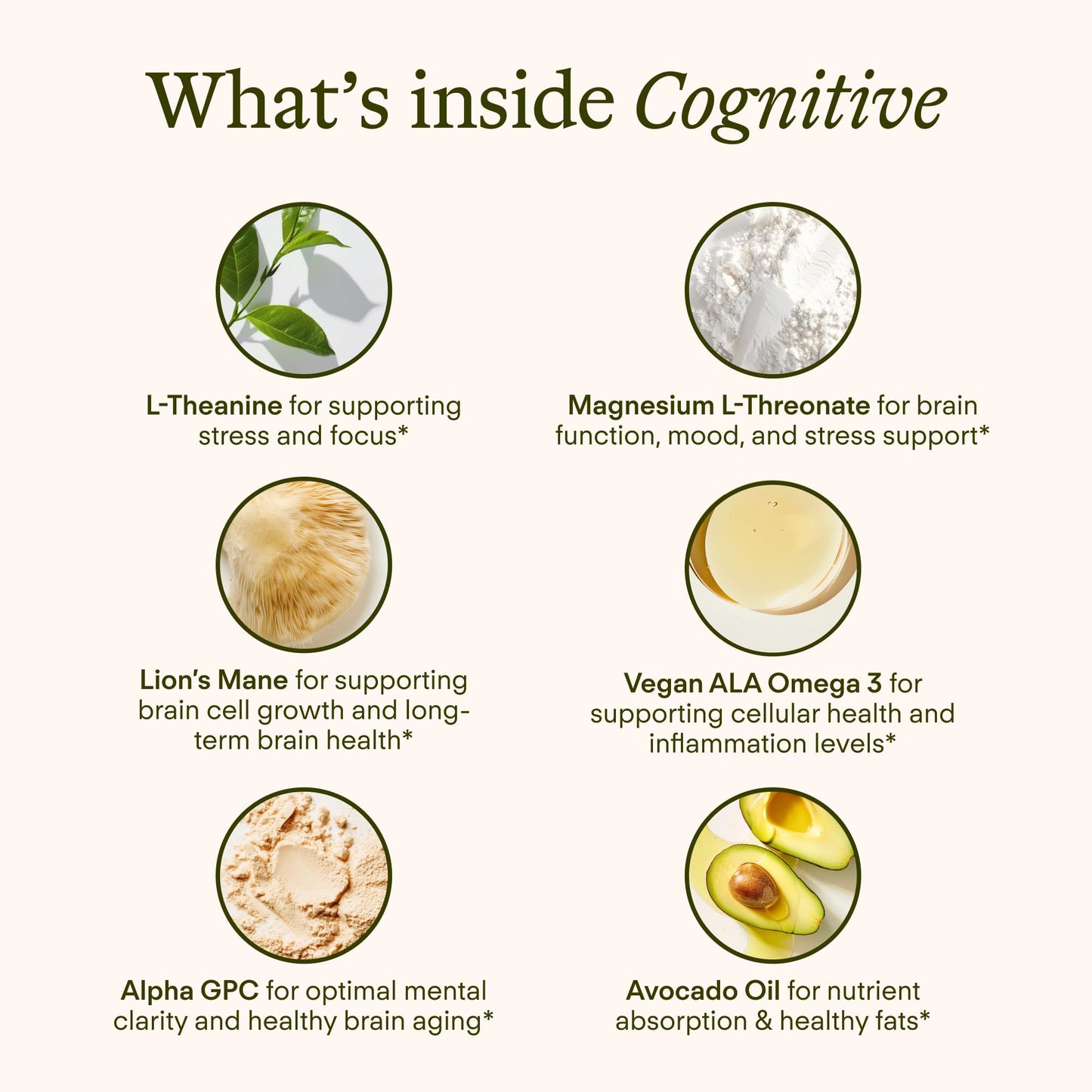 Sunny Within Brain Health Supplement Magnesium L-Threonate from Magtein®, Lion’s Mane, Alpha GPC, L-Theanine, ALA & Avocado Oil - Focus, Mood & Memory Support, 30 Tablets