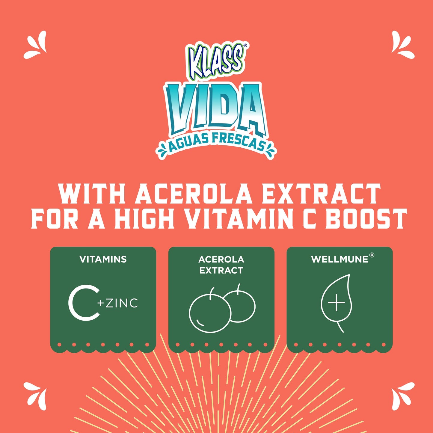 KLASS VIDA Hydration + Immunity Cantaloupe Electrolytes Powder 4.23 Ounce