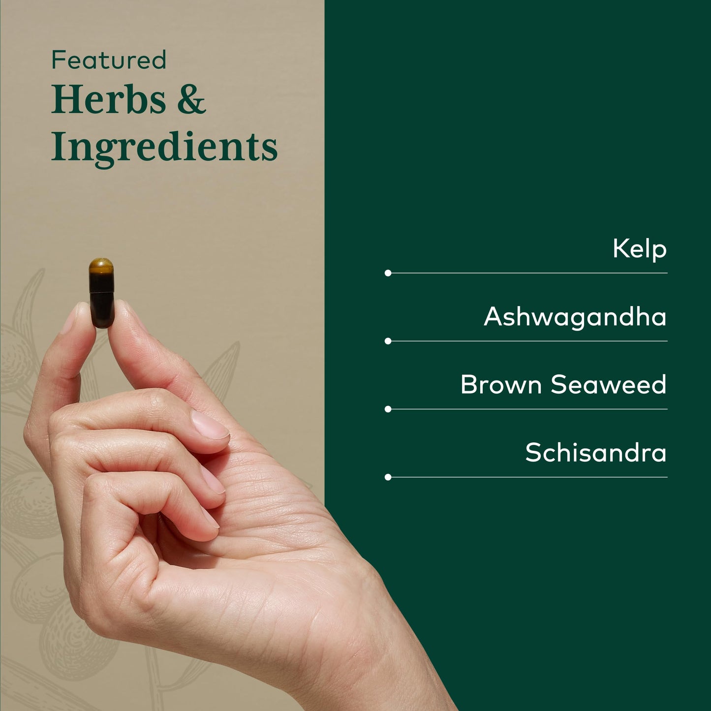 Gaia Herbs PRO Thyroid Formula 60 Capsules