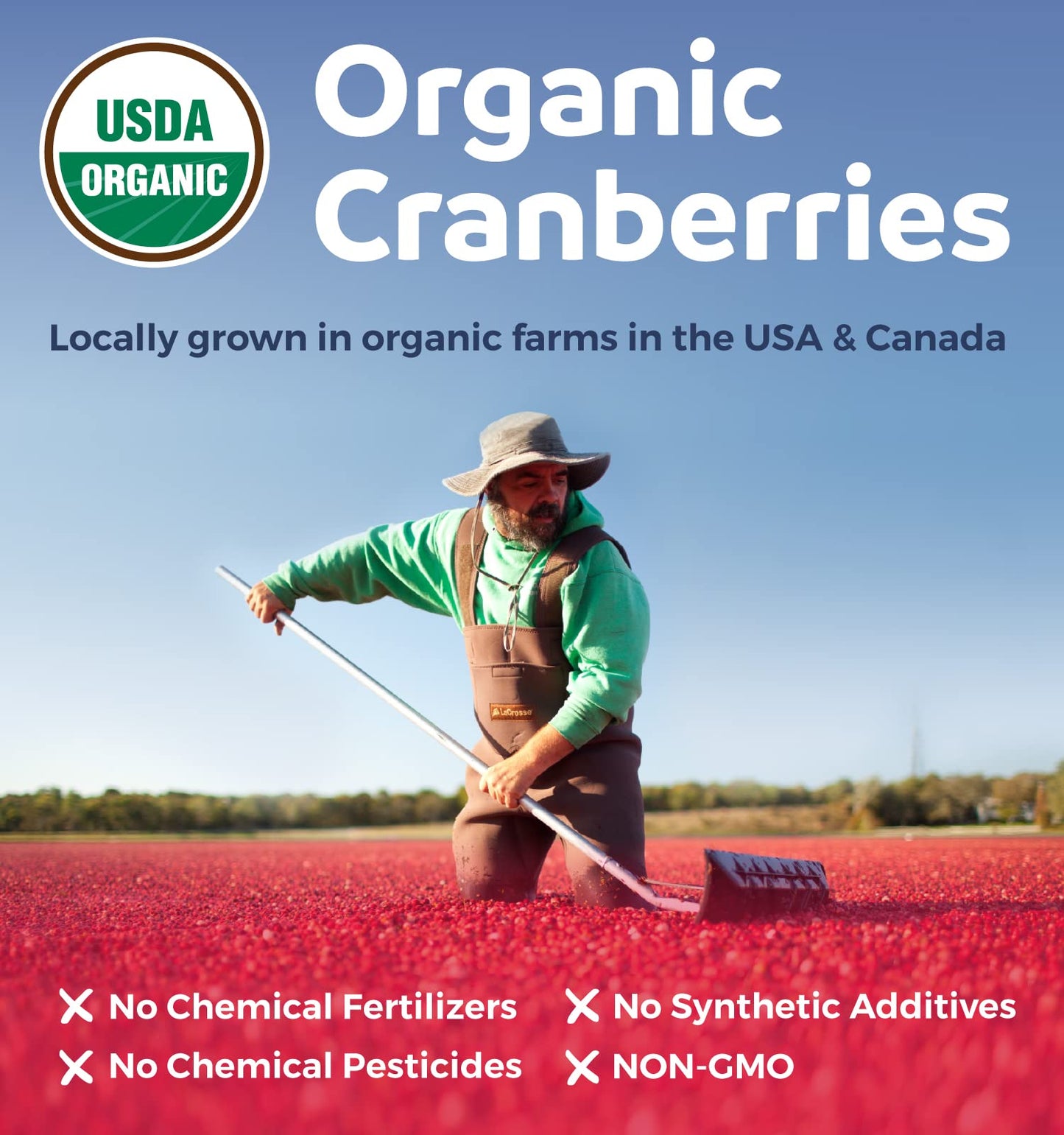 PURE CO Organic Cranberry Pills Capsule 60 Capsules