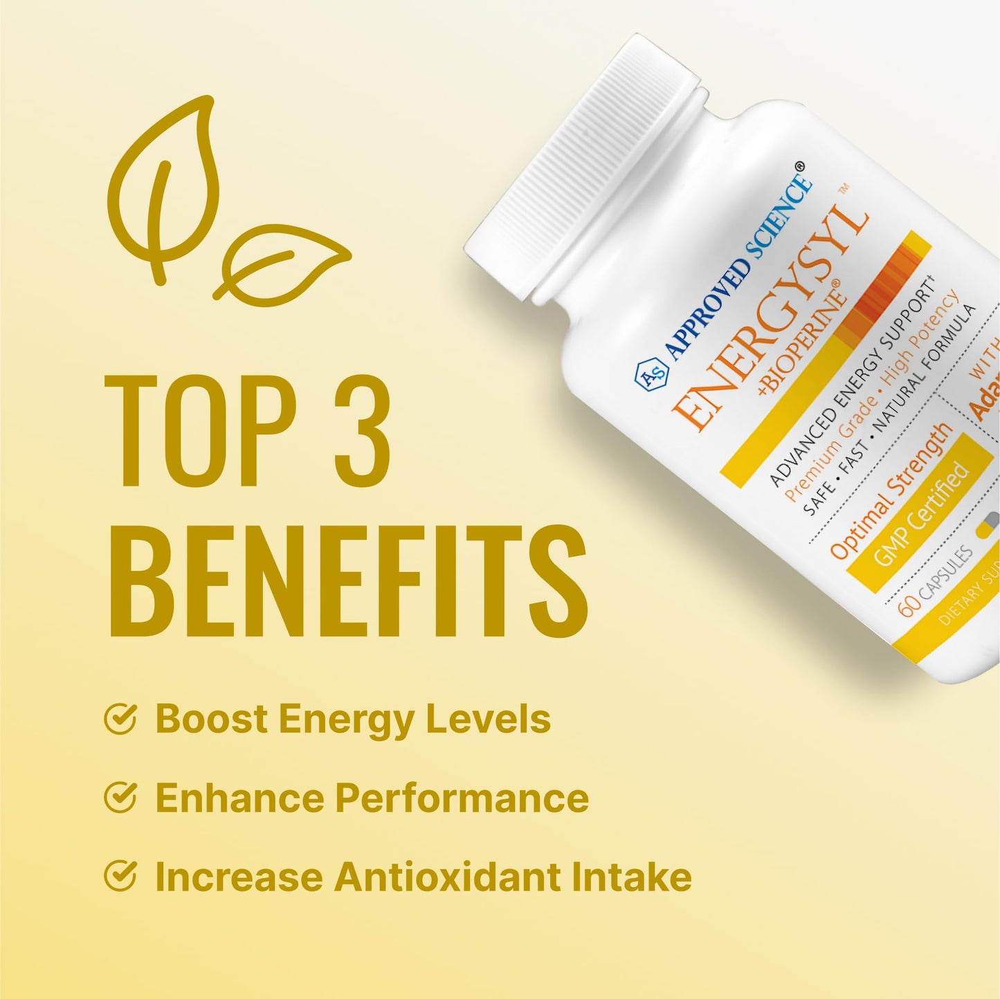 Approved Science Energysyl Capsule 60 Capsules
