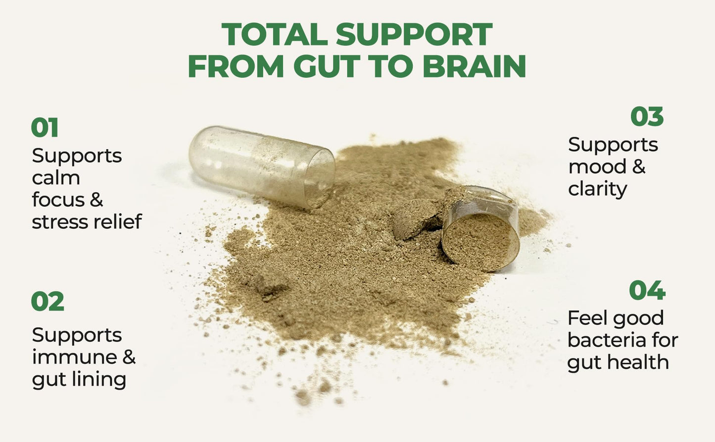 COREHEALTH Gut-Brain Synergy Probiotic & Nootropic Capsule, 60 Count