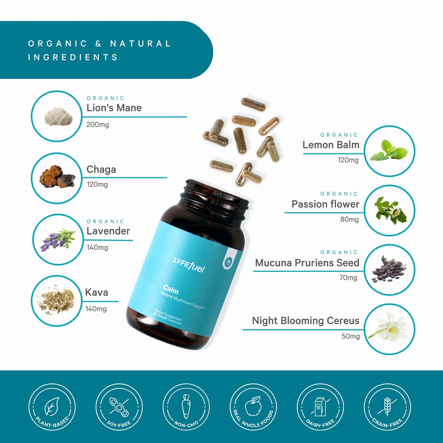 LyfeFuel Adaptogen Blend for Relaxation & Mood Support Capsules, 1 Capsule