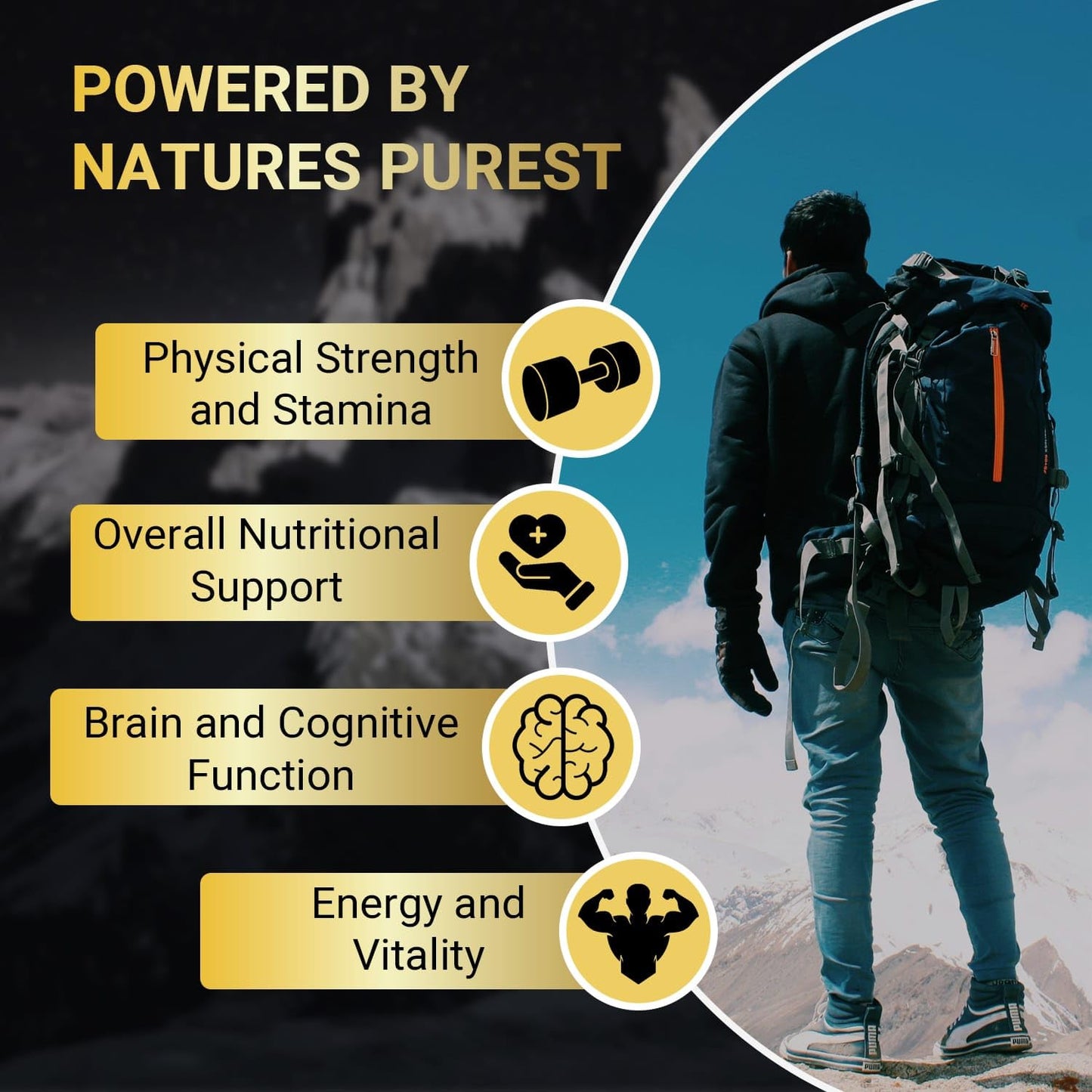Ubiney Premium Shilajit Capsules 500mg with Ashwagandha, Ginseng & Cordyceps – 120 Vegan Capsules