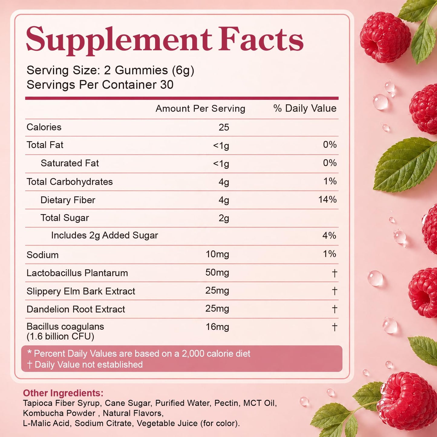 ZIPINKJ Probiotic Kombucha Fiber Gummies, Gummy, 60 Count