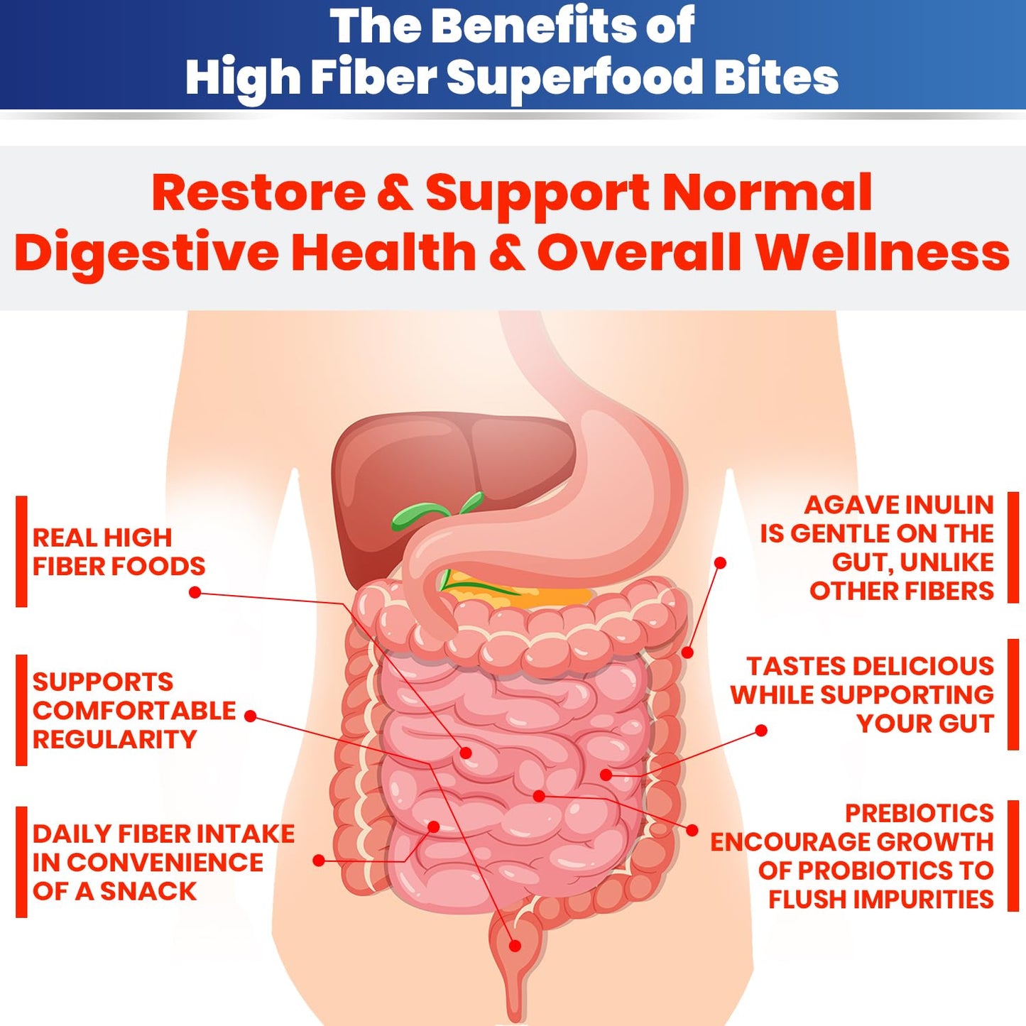 Kidney Restore High Fiber Superfood Bites Chewable 30 Count