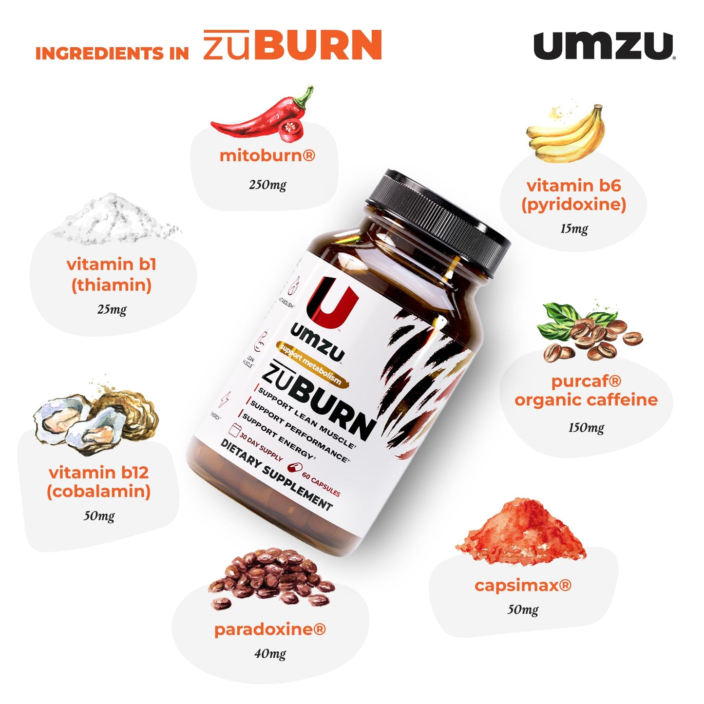 UMZU ZuBurn Energy Support Capsule, 60 Count