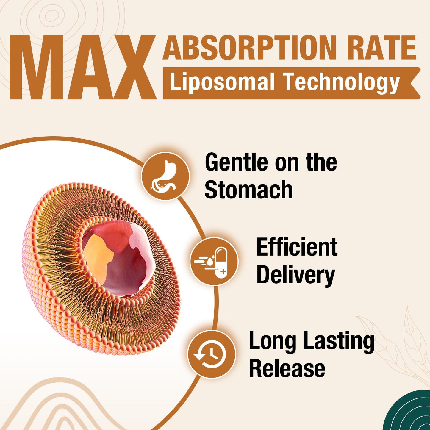ZenixZephir Liposomal Brain Supplements for Memory and Focus Softgels 60