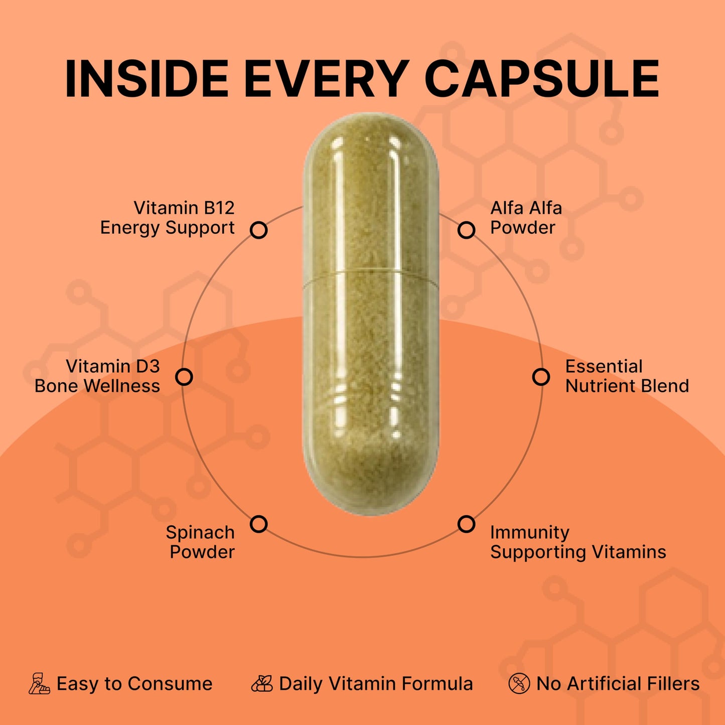 ORIBITE Vitamin B12 + D3 Supplement Capsule, 60 Count