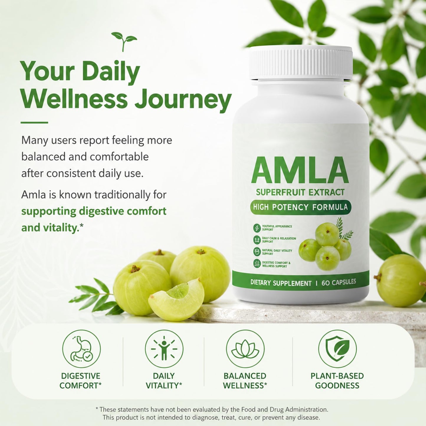 Alevia Organic Amla Capsule 1 Count