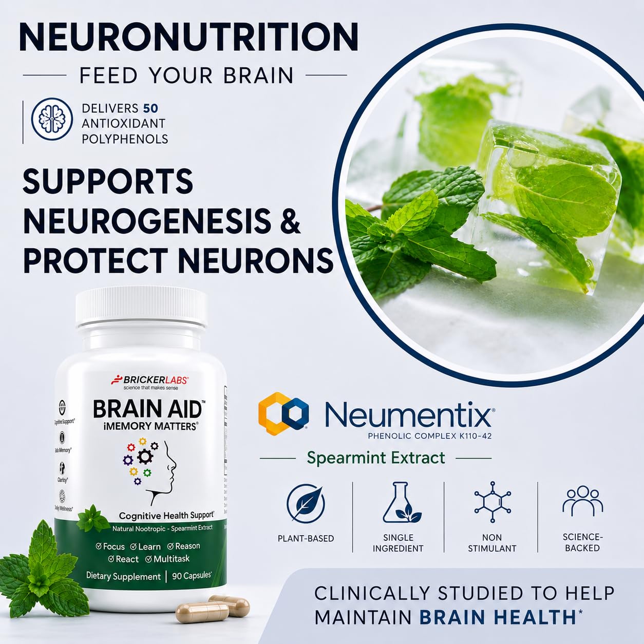 Bricker Labs Brain Aid Memory Matters Nootropic Brain Supplement with Neumentix Spearmint Extract Capsules, 90 Count