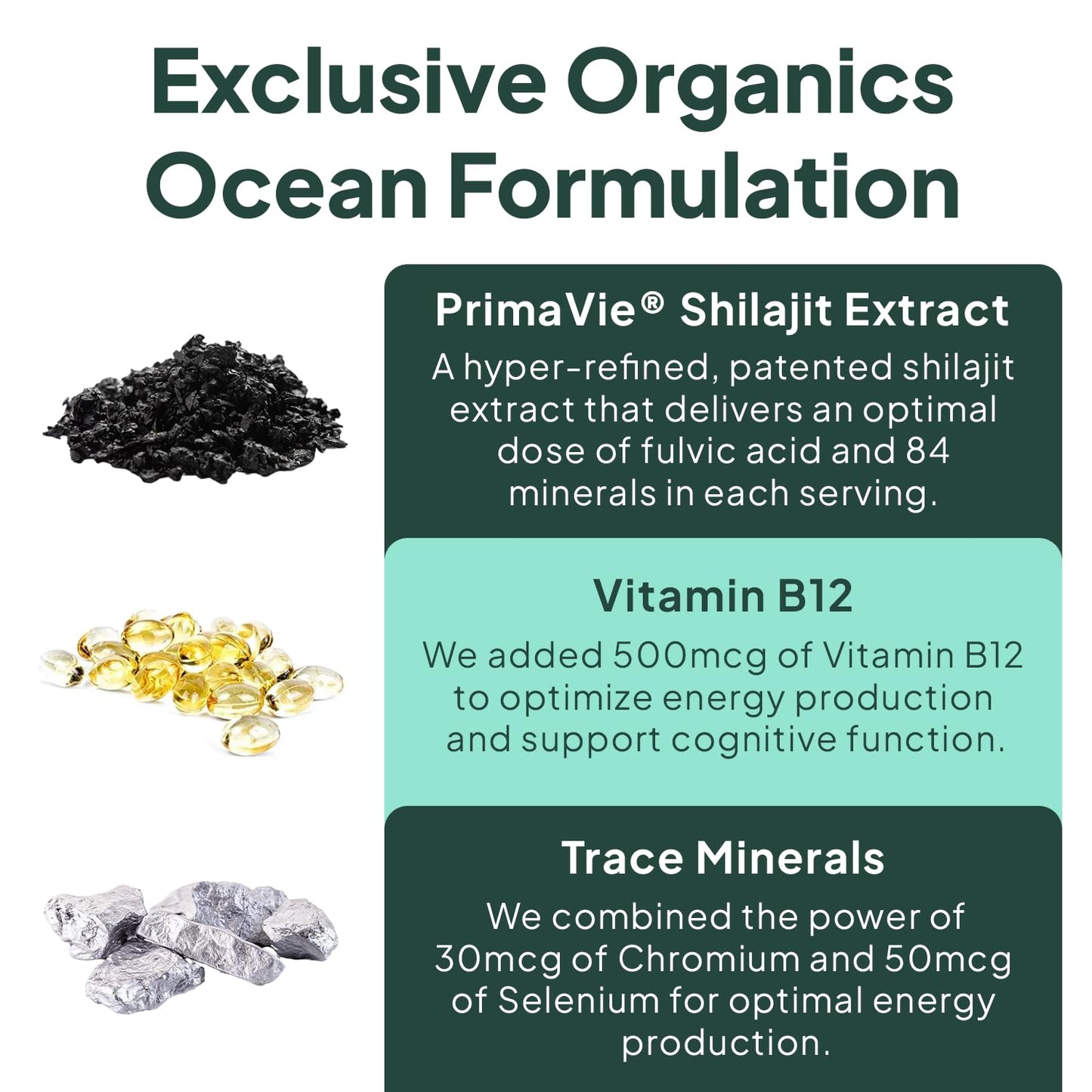 Organics Ocean Shilajit Gummies 60 Count