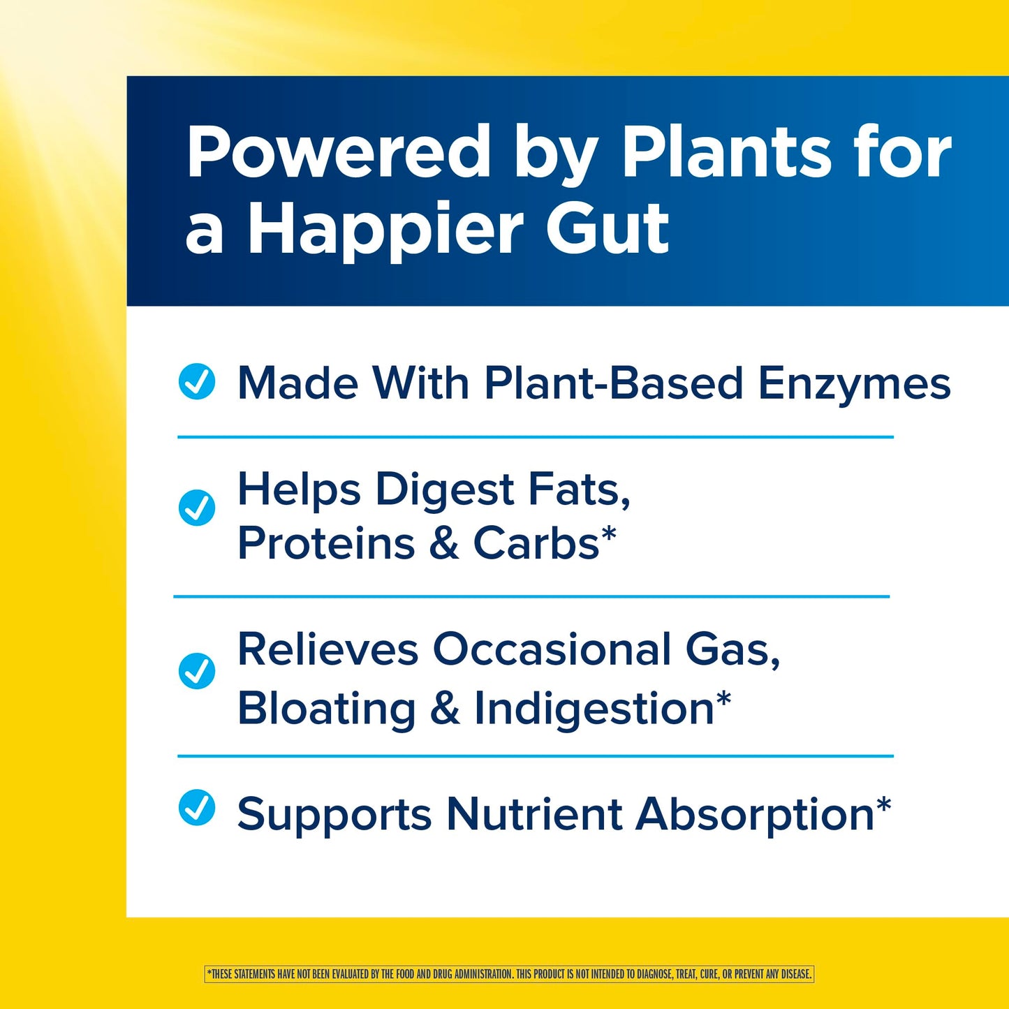 Renew Life DigestMore Digestive Enzymes Capsule 90 Count
