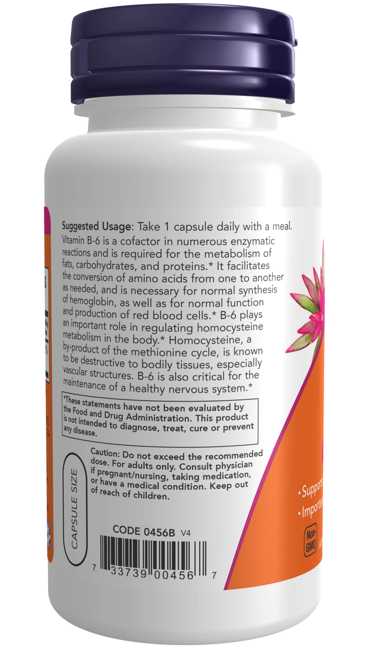 NOW Foods Vitamin B-6 100 mg Capsule, 100 Capsules