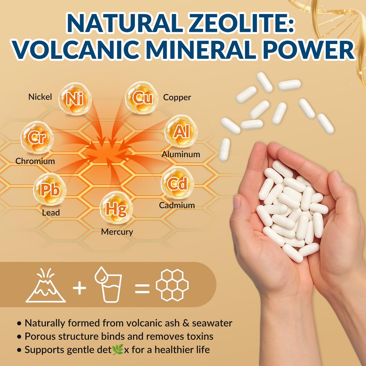 GZ HAOYUAN Zeolite Detox Capsules, 60 Capsules