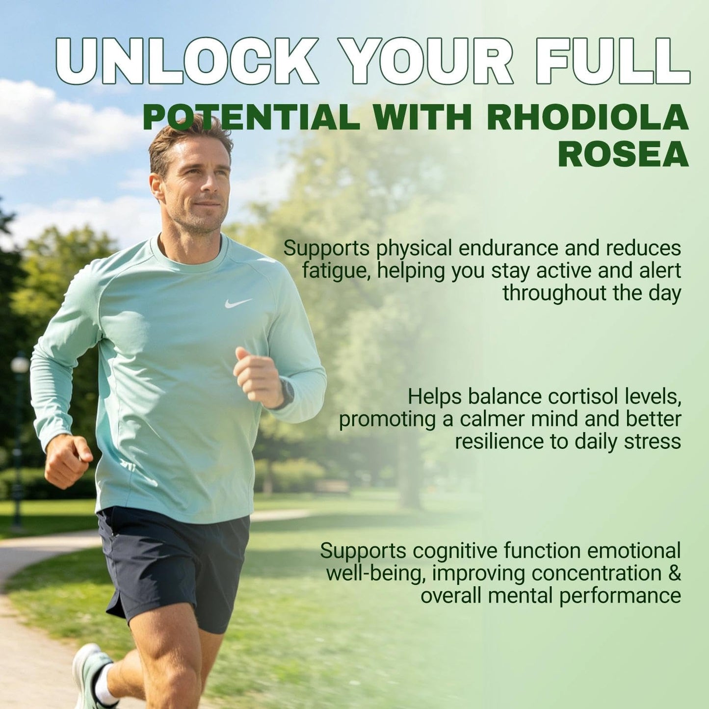 Refirm Restine Rhodiola Rosea Capsules 500mg, 60 Count