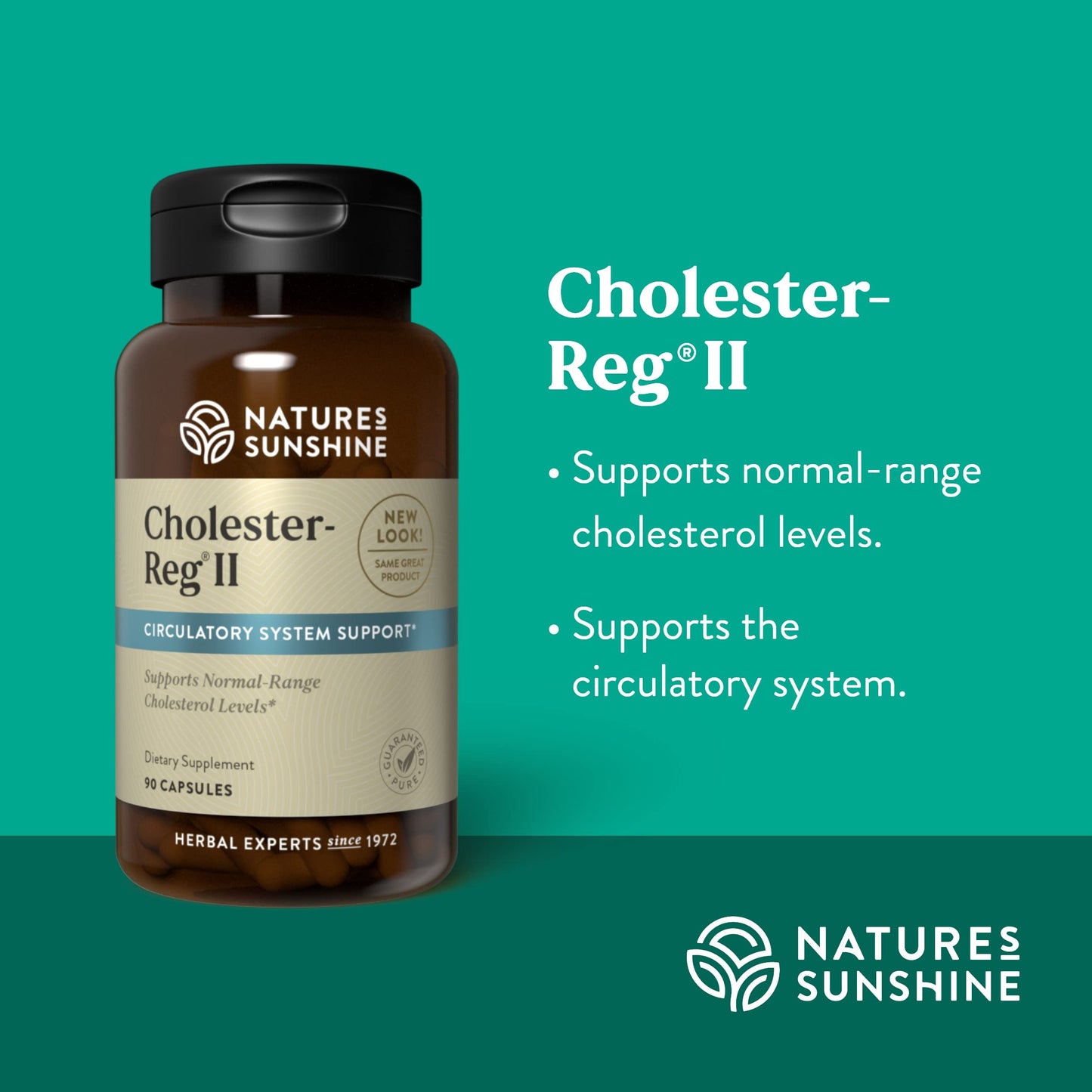 Nature's Sunshine Cholester-Reg II Capsules, 90 Count