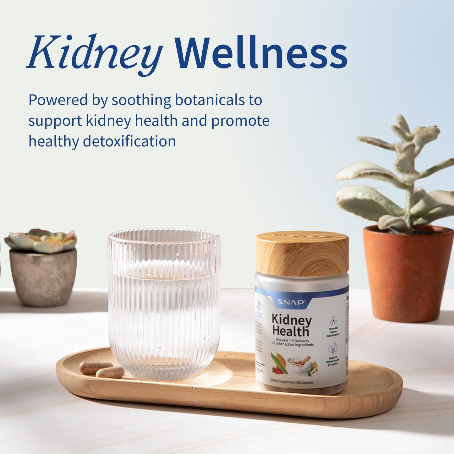 Snap Supplements Kidney Health Support Supplement 60 Capsules