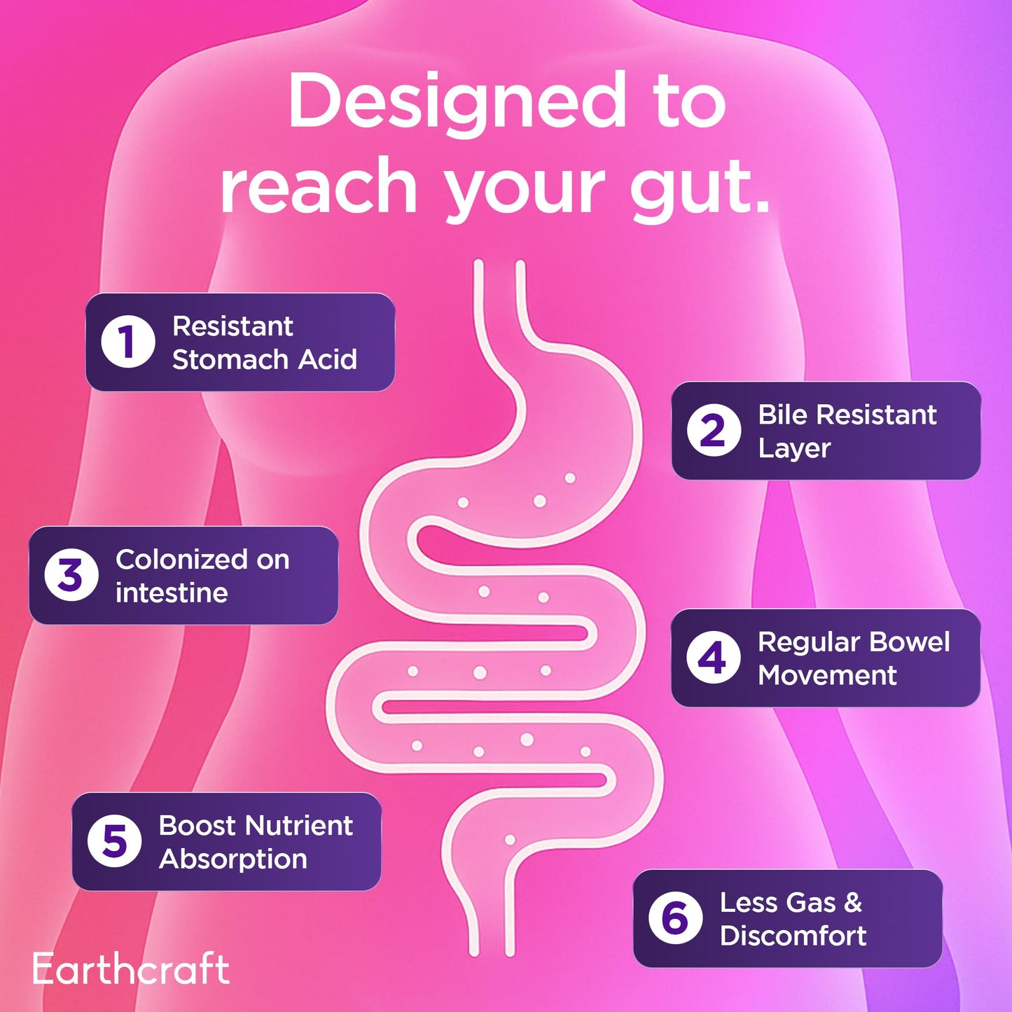 Earthcraft Probiotics for Women 50 Billion CFU – 10 Strains + Prebiotics for Vaginal Health, Digestive, Gut, PH Balance and Immune Health – Delayed Release Capsules, Non-GMO, Vegan, Support Nutrient Absorption, 60 Count