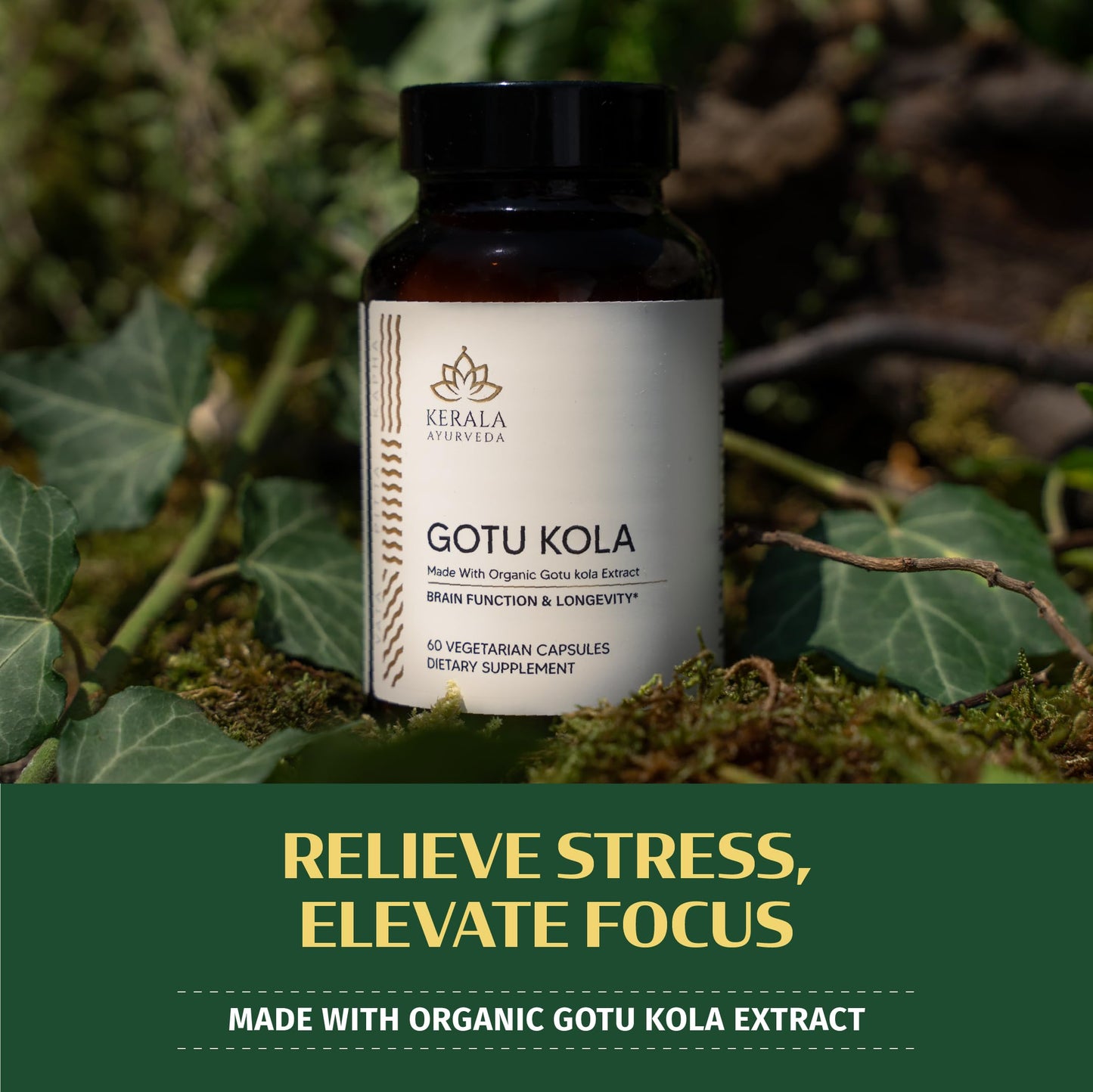 Kerala Ayurveda Centella Asiatica Capsules 1 Capsule