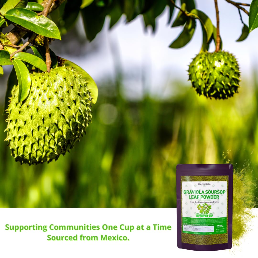 HERBALISTA Pure Soursop Leaf Powder 16 oz